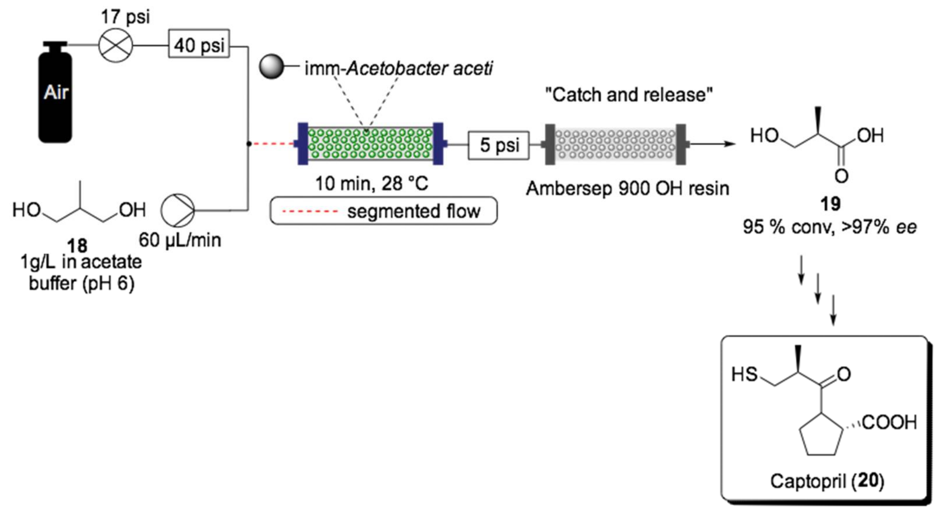 Ijms 22 00990 sch011 Ijms 22 00990 sch011