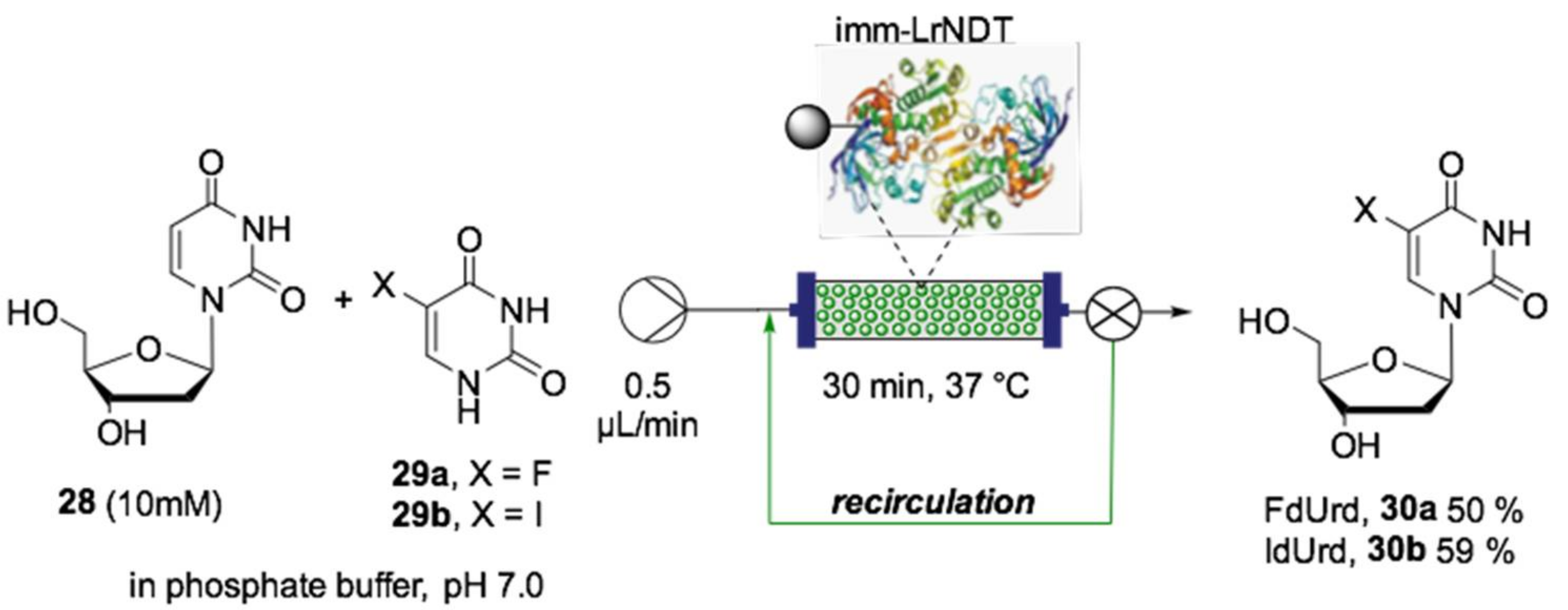 Ijms 22 00990 sch014 Ijms 22 00990 sch014