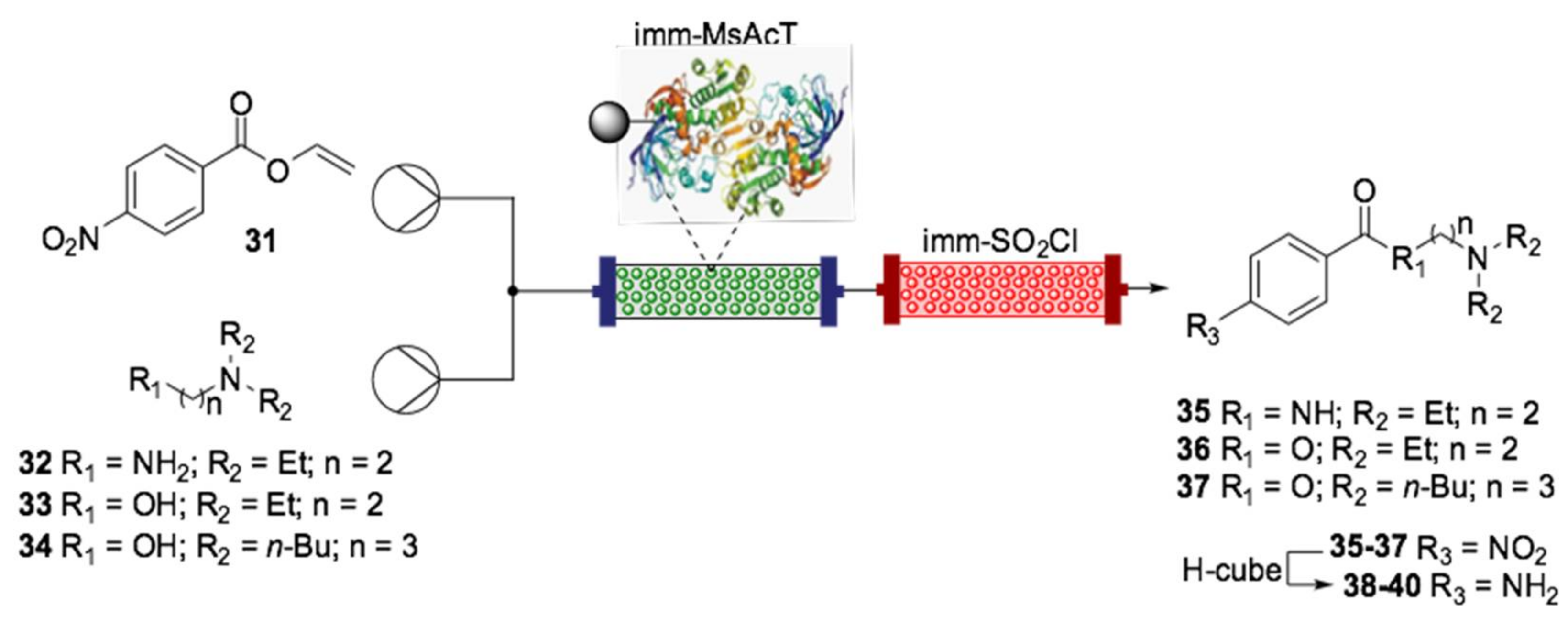 Ijms 22 00990 sch015 Ijms 22 00990 sch015