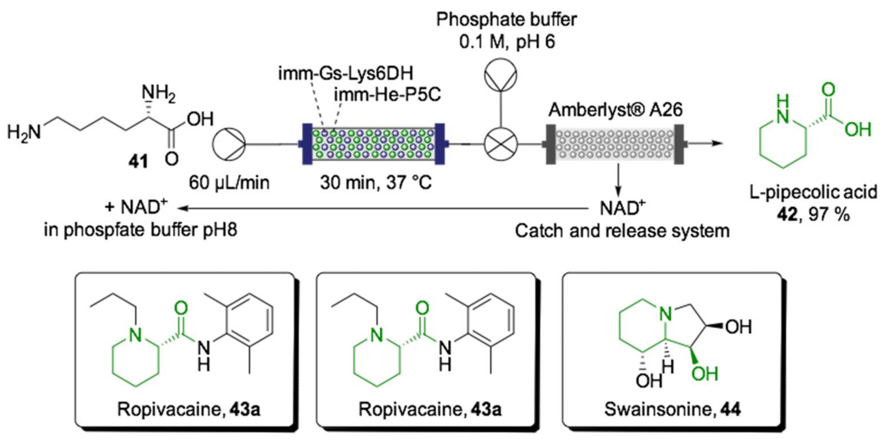 Ijms 22 00990 sch016 Ijms 22 00990 sch016