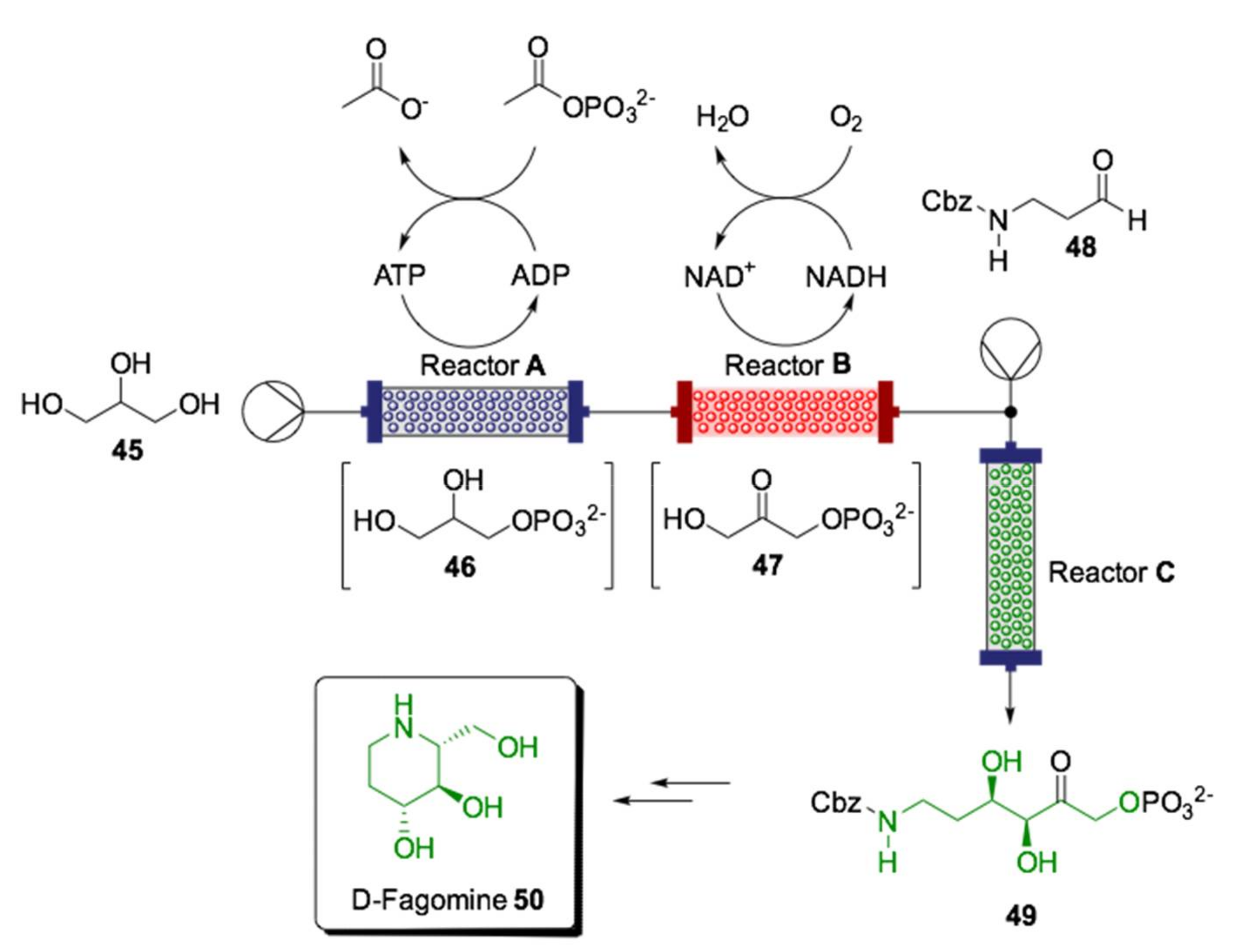 Ijms 22 00990 sch017 Ijms 22 00990 sch017