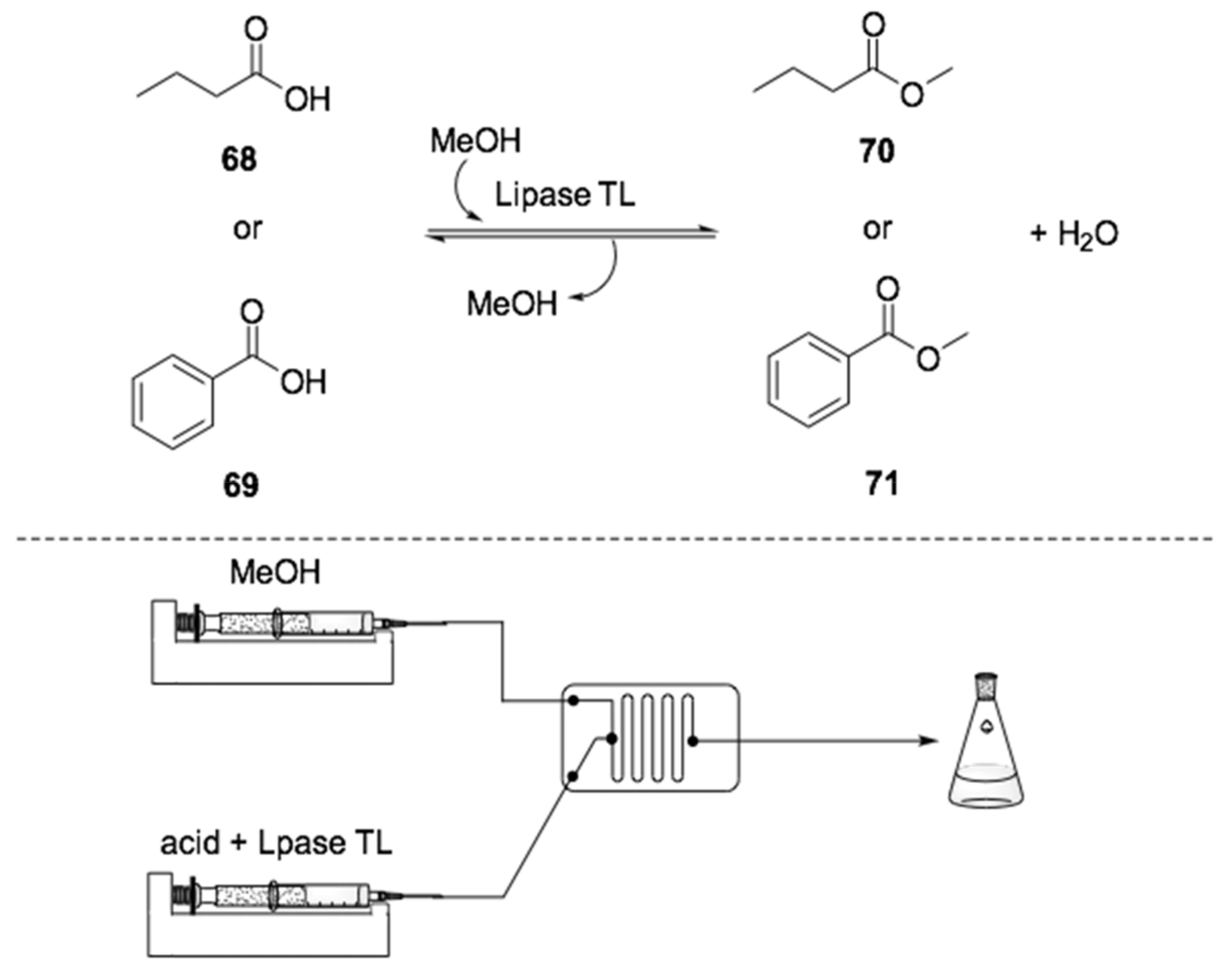 Ijms 22 00990 sch020 Ijms 22 00990 sch020