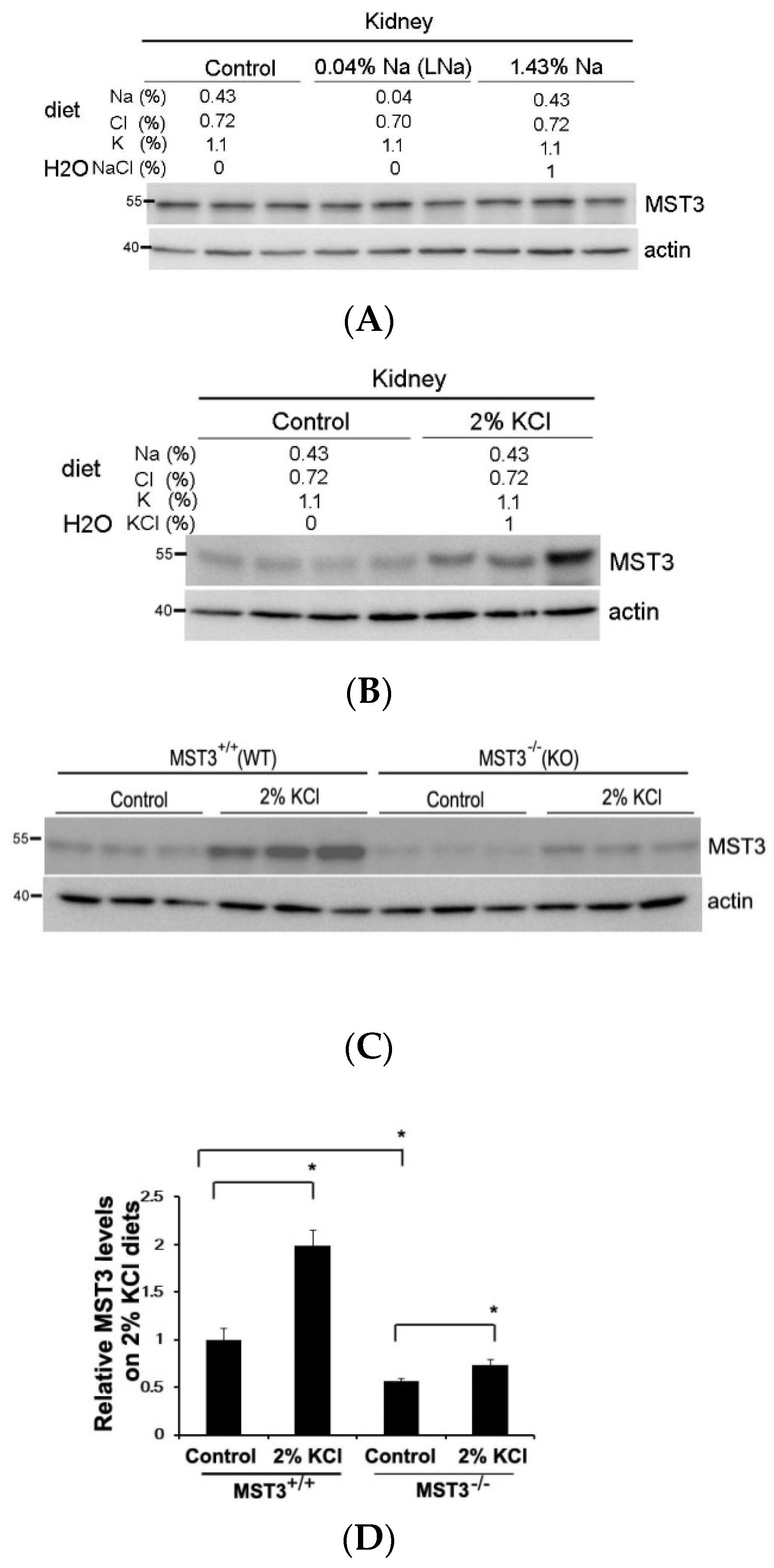 Ijms 22 00999 g002