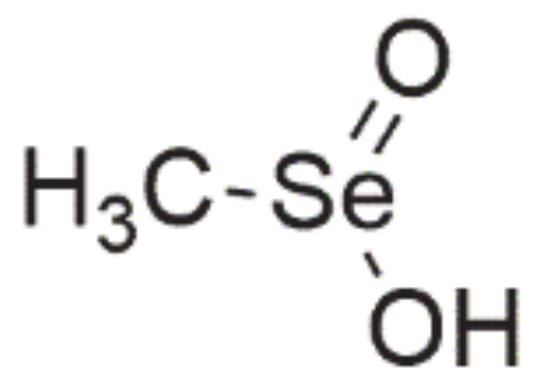 Ijms 22 01009 g007 Ijms 22 01009 g007