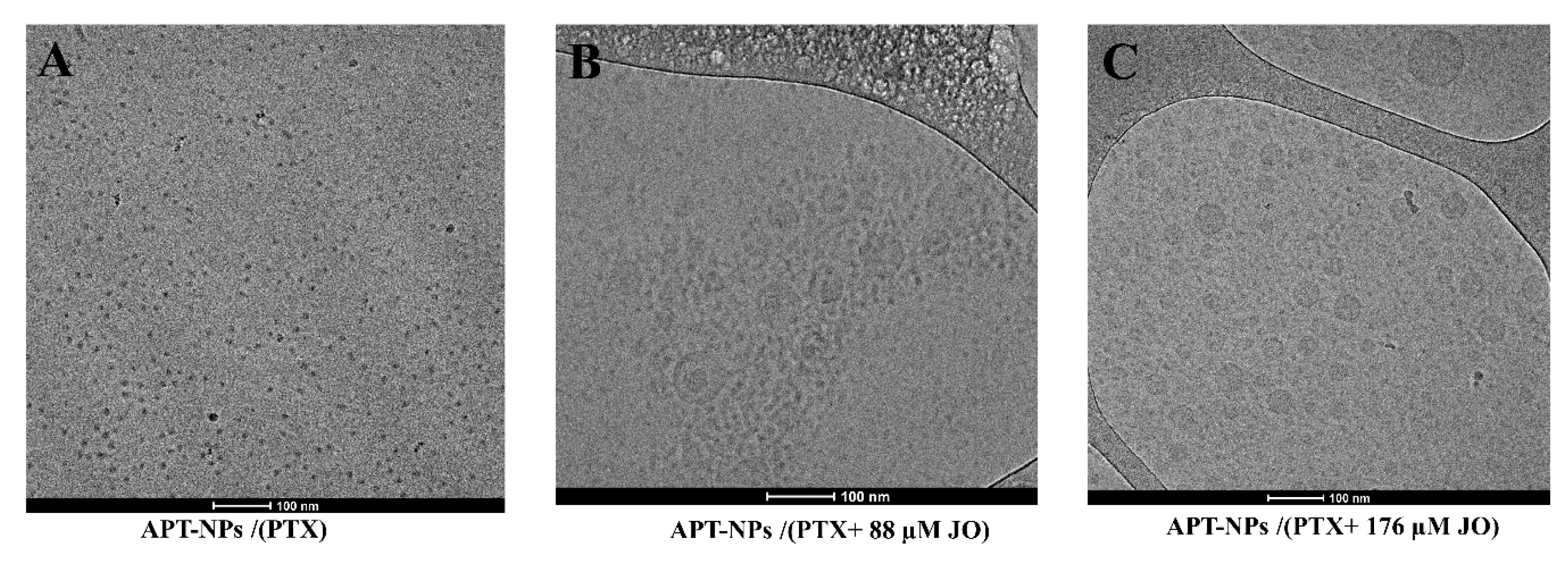 Ijms 22 01019 g003