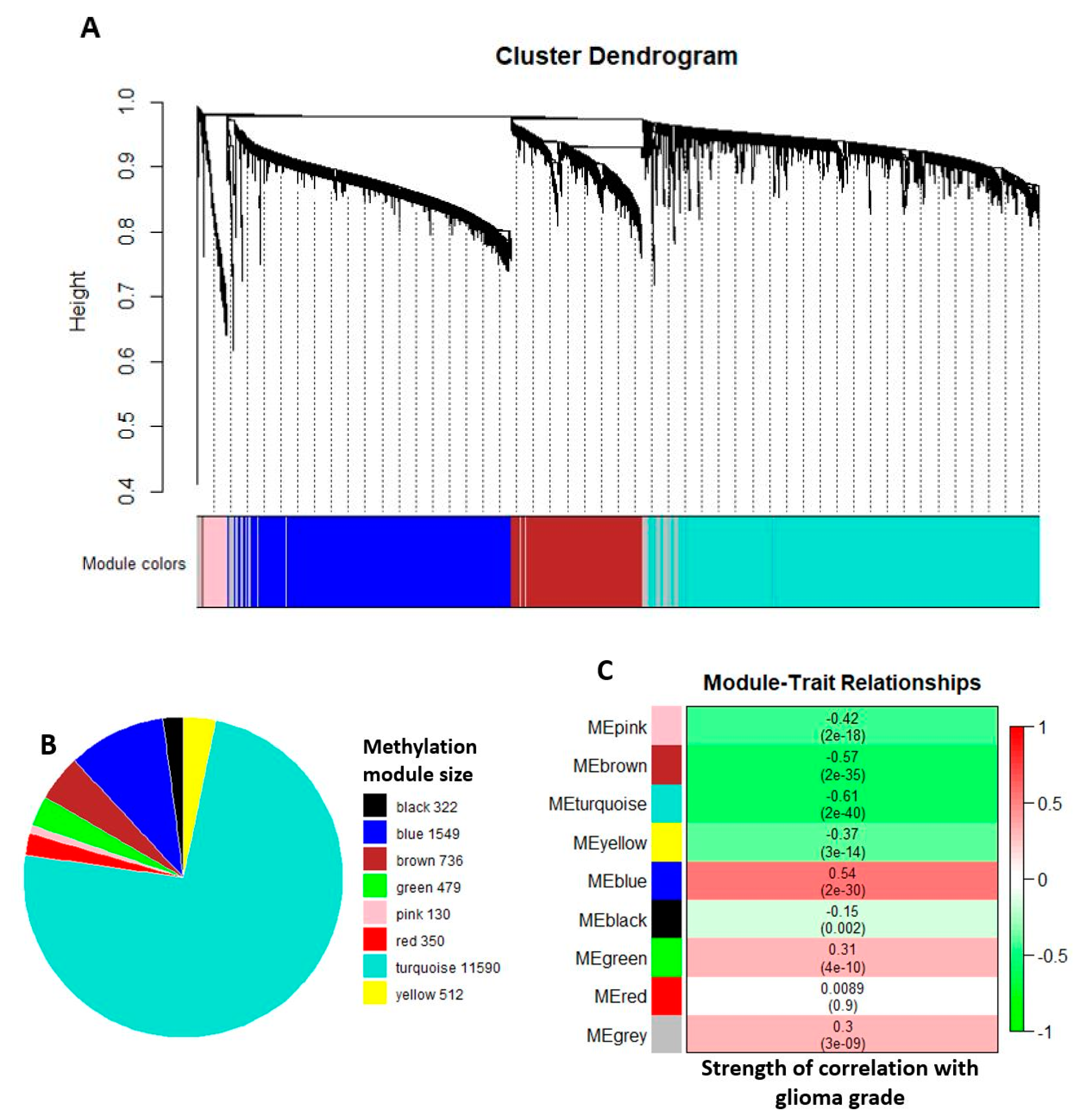 Ijms 22 01020 g002 Ijms 22 01020 g002