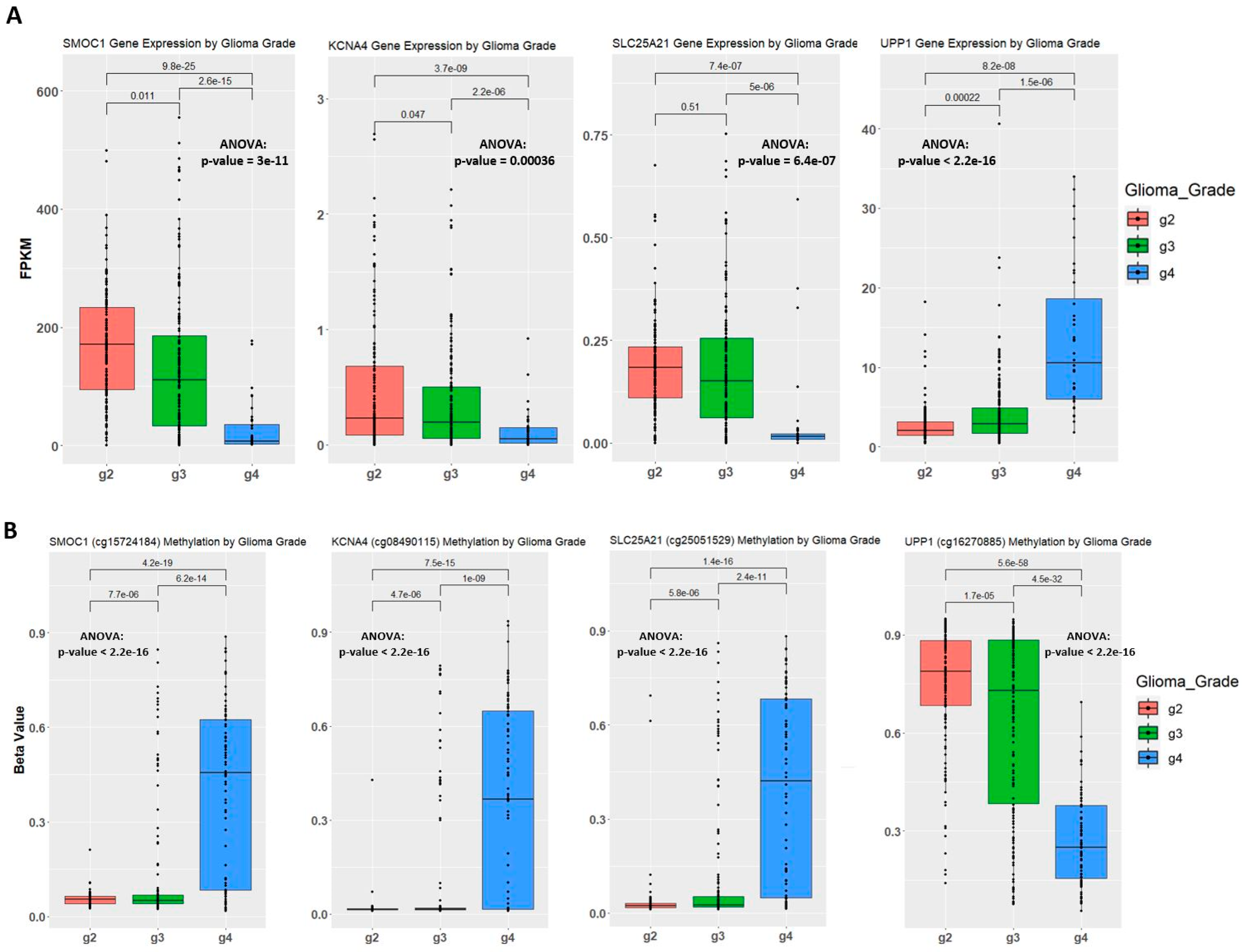 Ijms 22 01020 g004a Ijms 22 01020 g004a