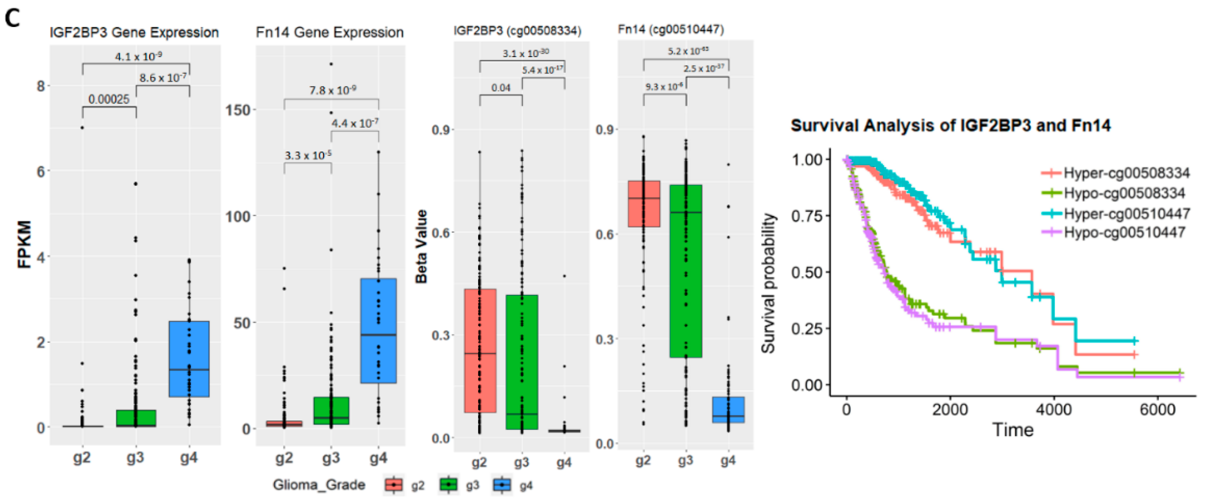 Ijms 22 01020 g004b Ijms 22 01020 g004b