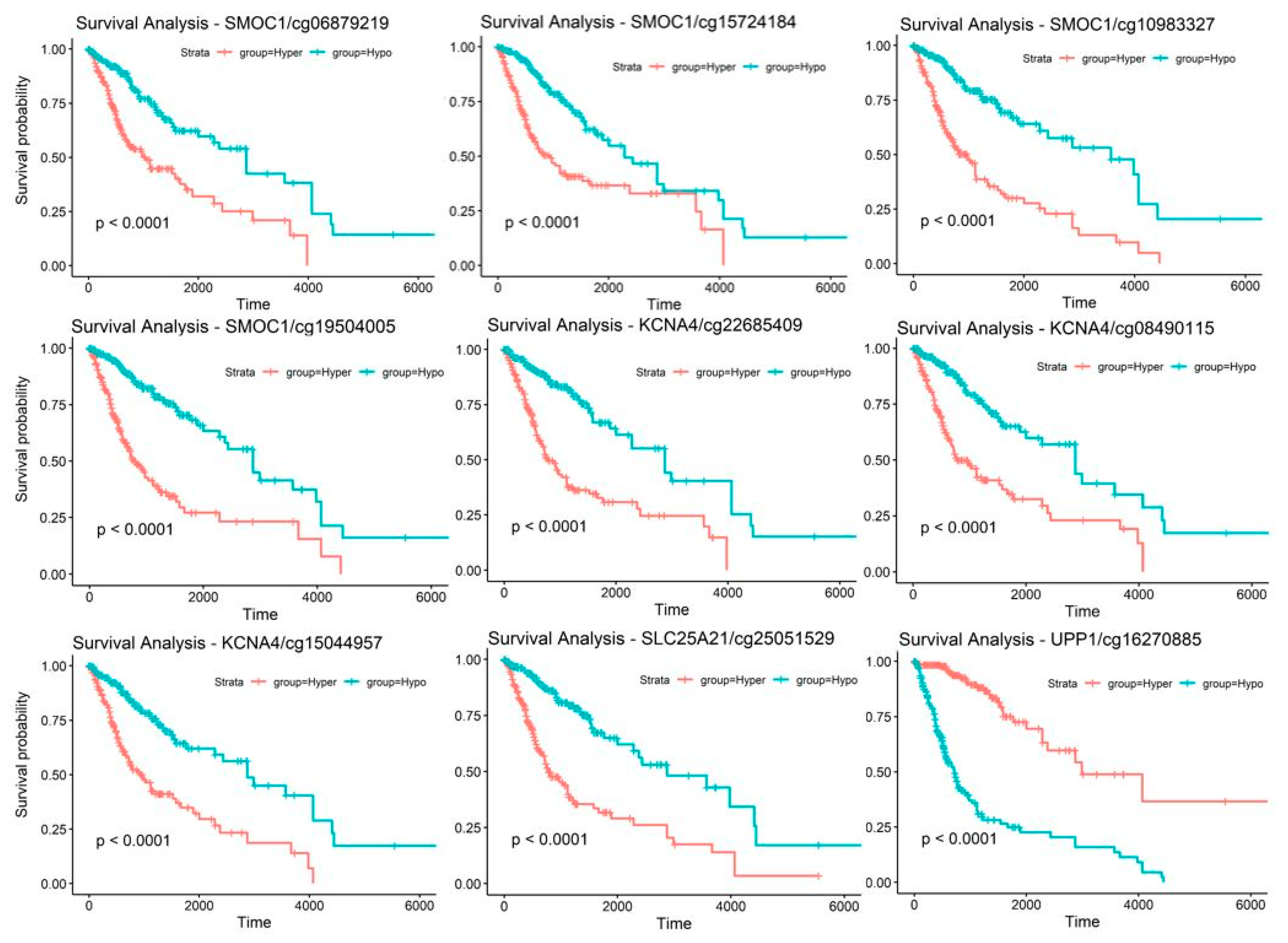 Ijms 22 01020 g005 Ijms 22 01020 g005