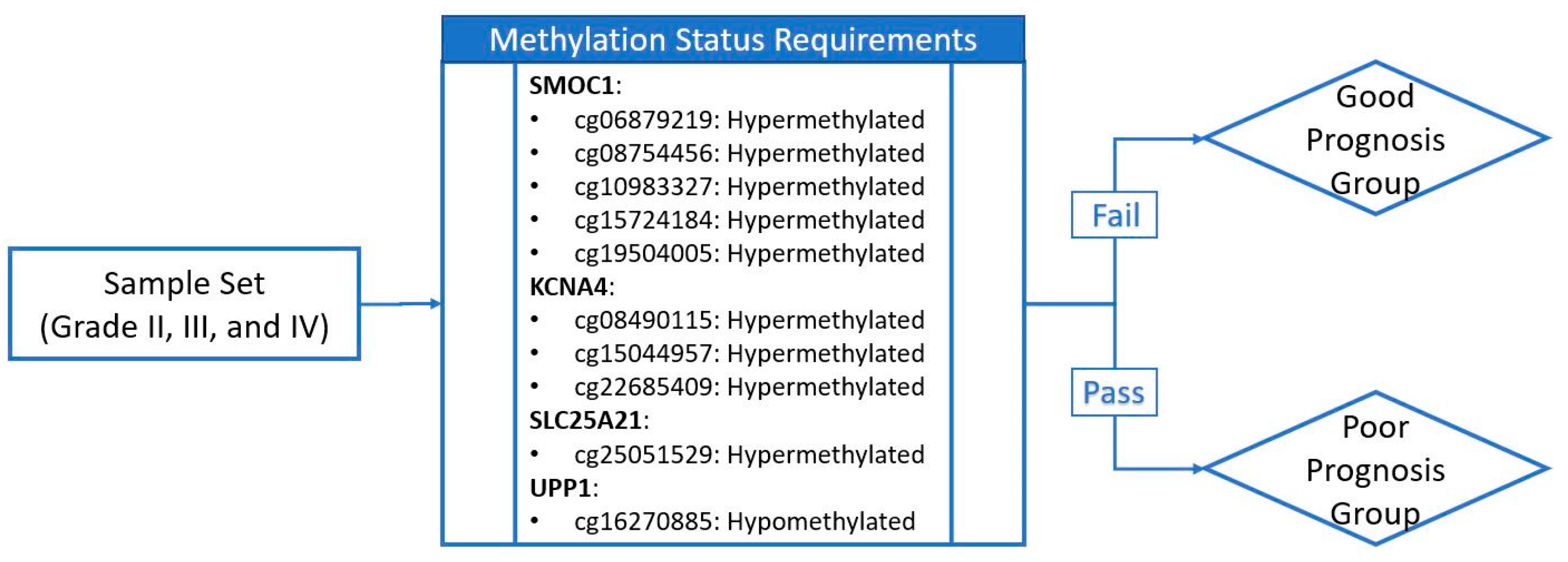 Ijms 22 01020 g006 Ijms 22 01020 g006