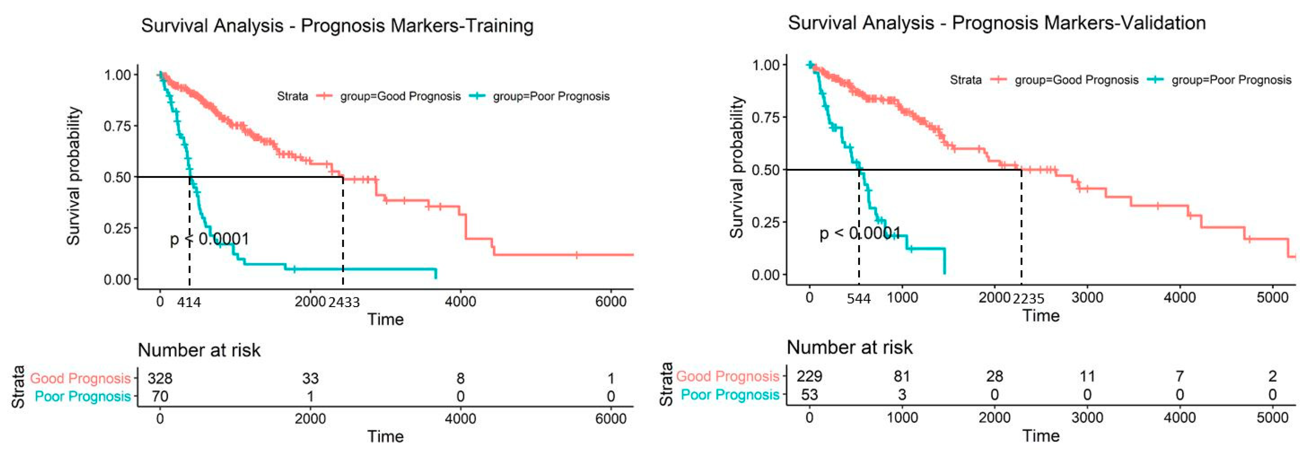 Ijms 22 01020 g007 Ijms 22 01020 g007