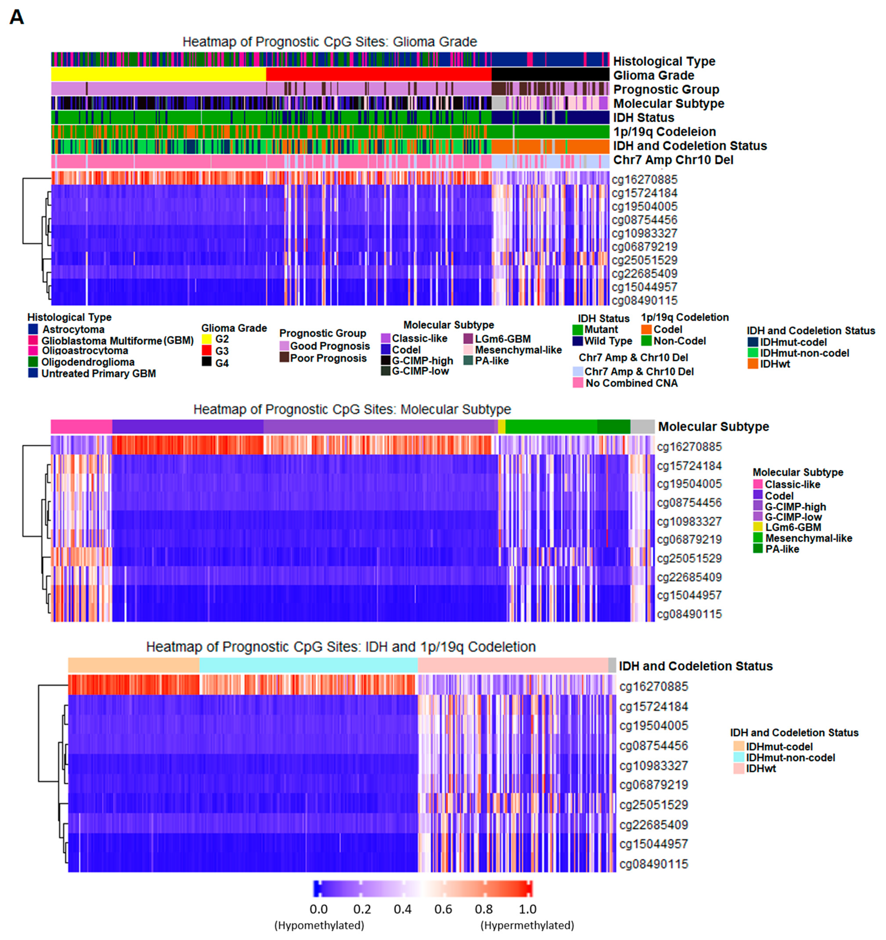 Ijms 22 01020 g008a Ijms 22 01020 g008a