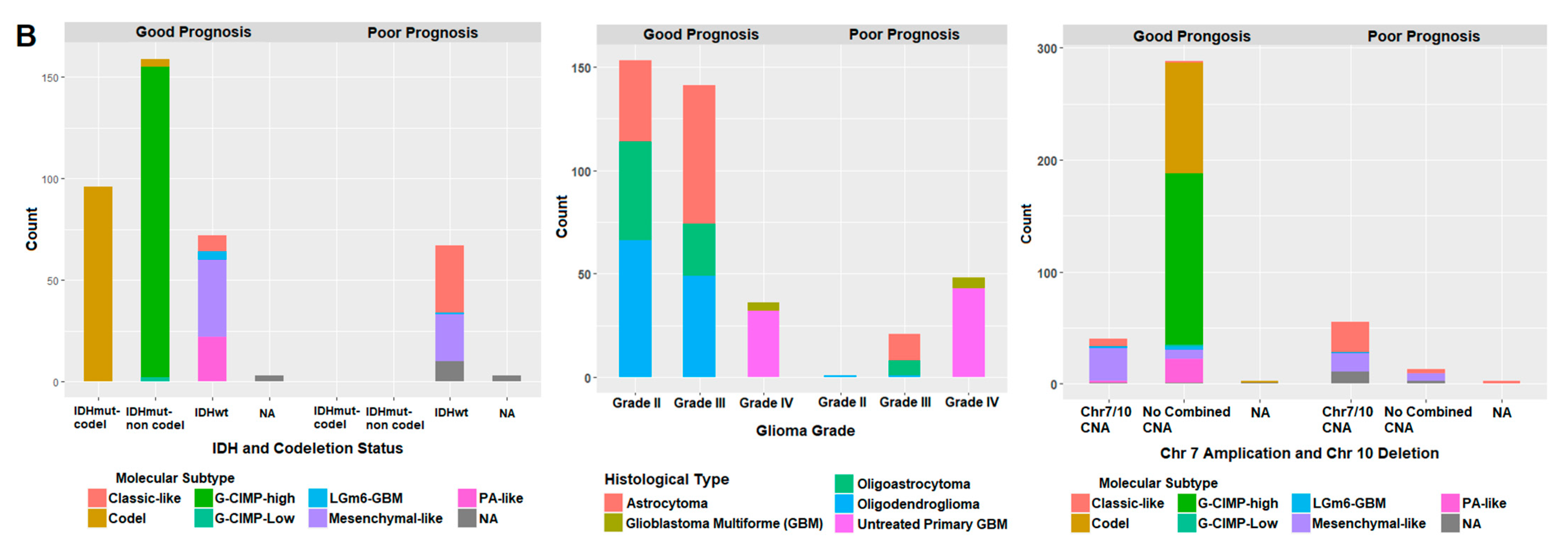 Ijms 22 01020 g008b Ijms 22 01020 g008b