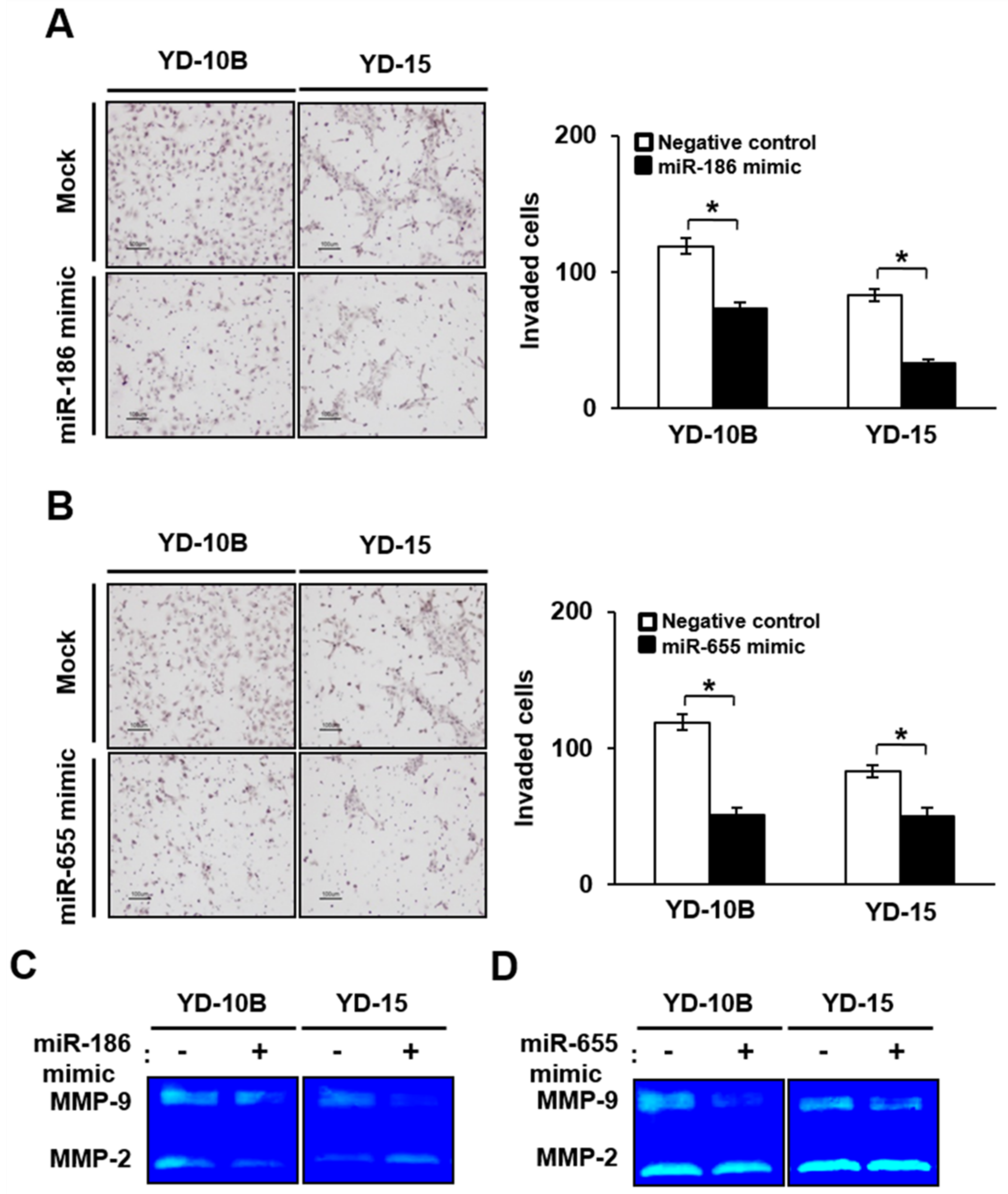 Ijms 22 01021 g006 Ijms 22 01021 g006