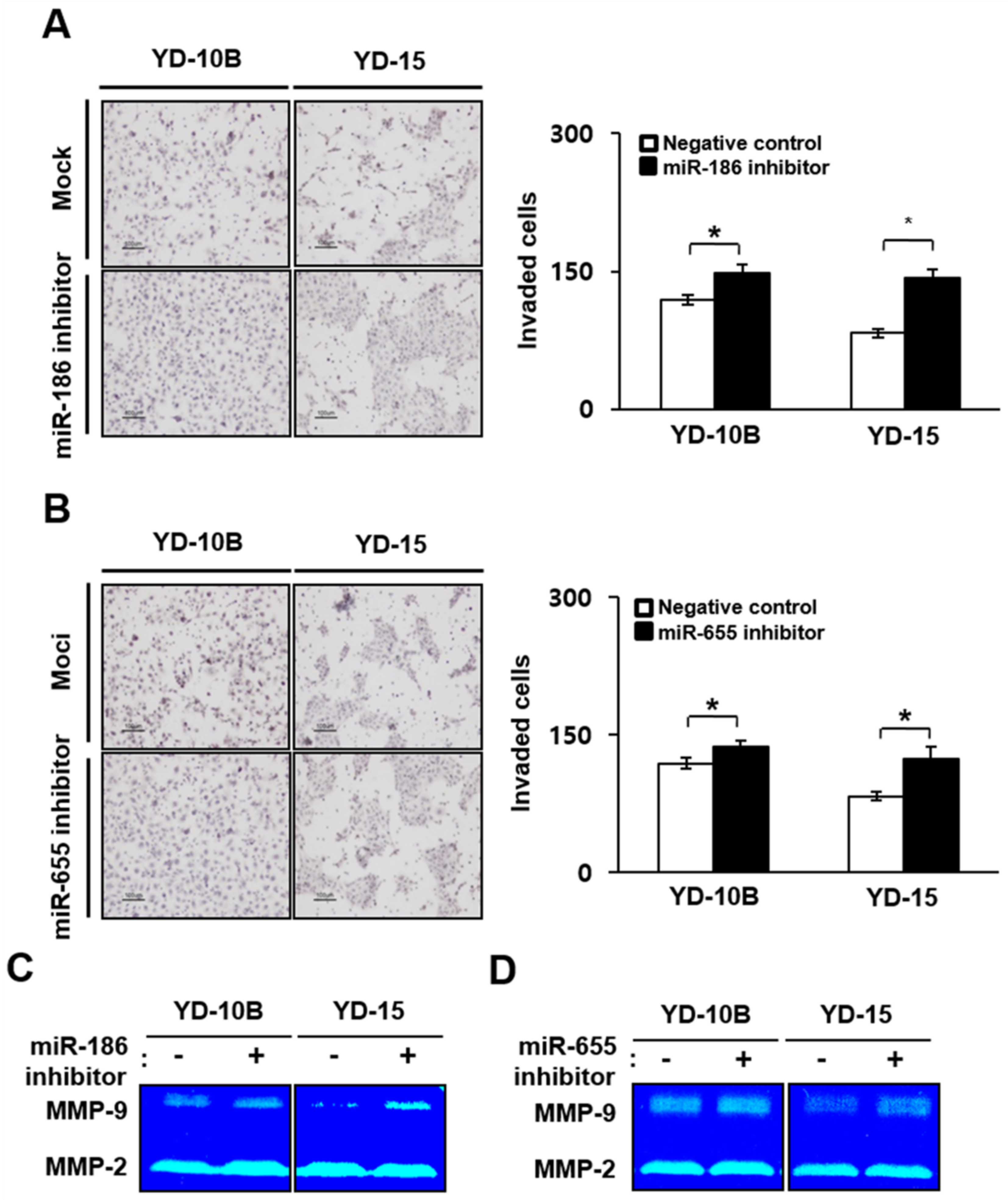 Ijms 22 01021 g007 Ijms 22 01021 g007
