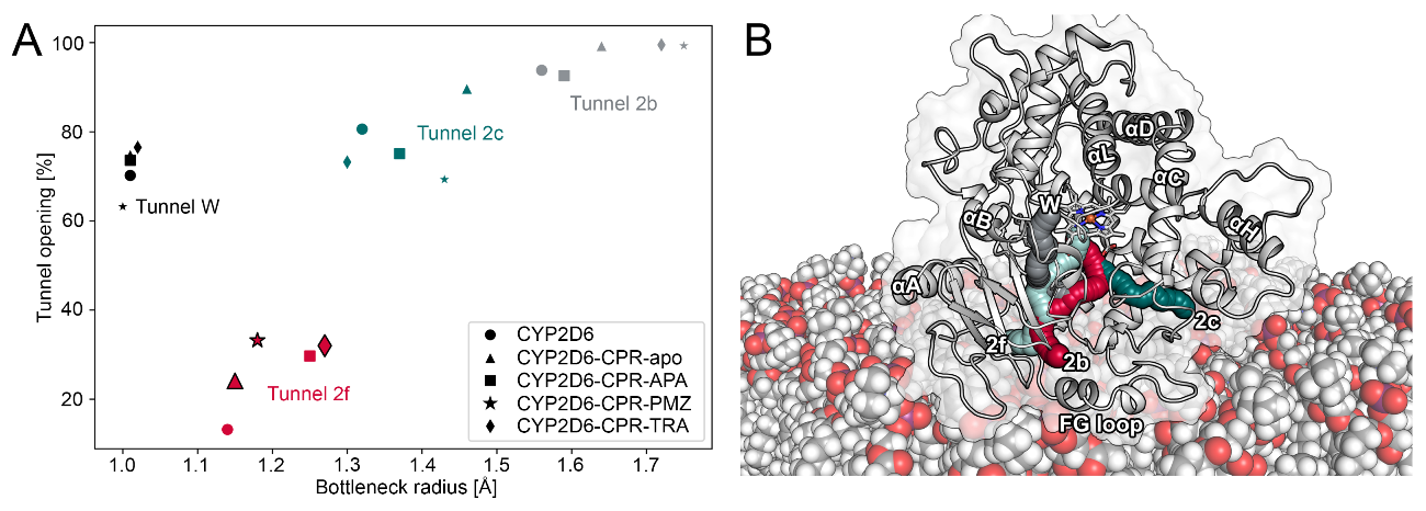 Ijms 22 01023 g005 Ijms 22 01023 g005