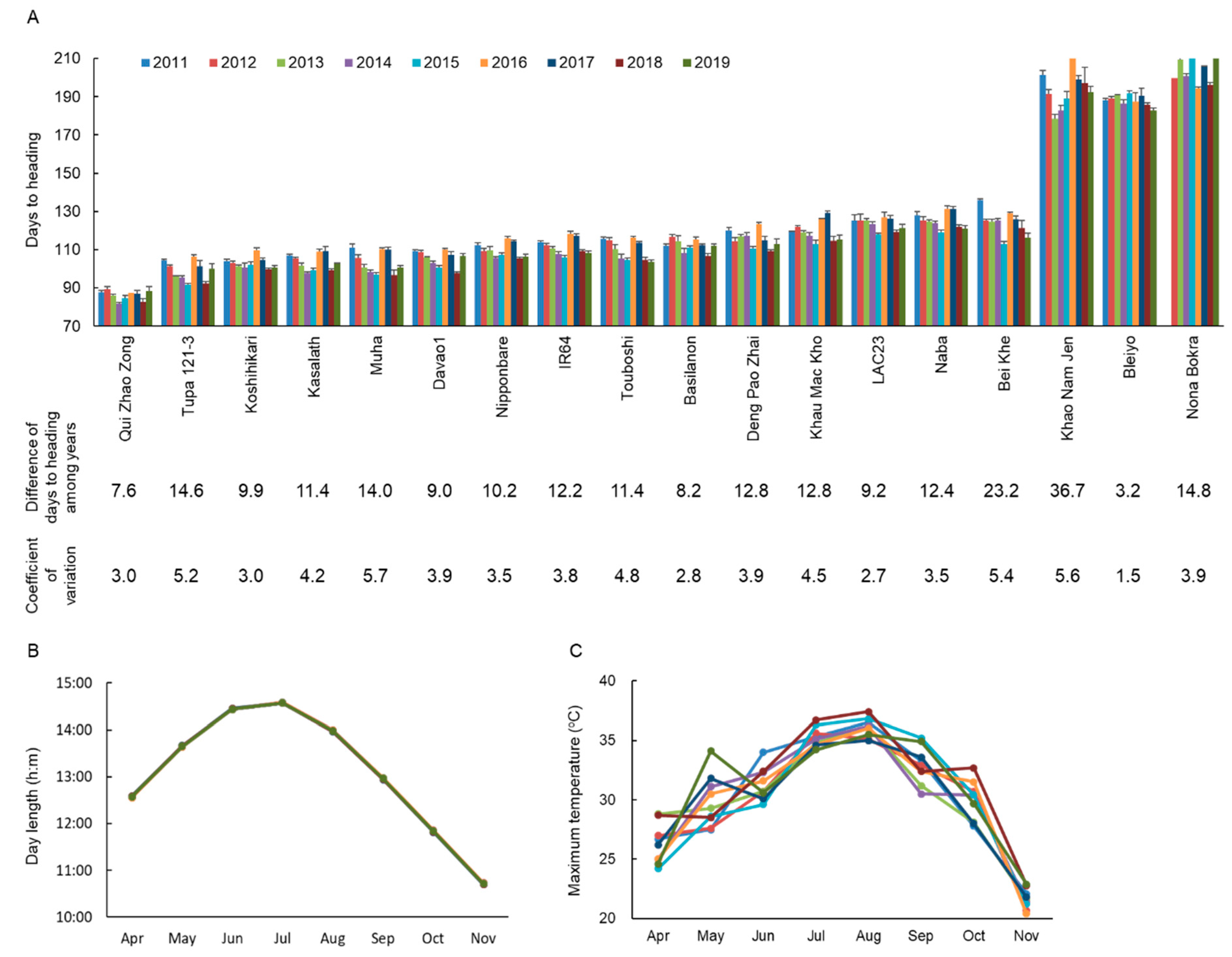 Ijms 22 01024 g001 Ijms 22 01024 g001