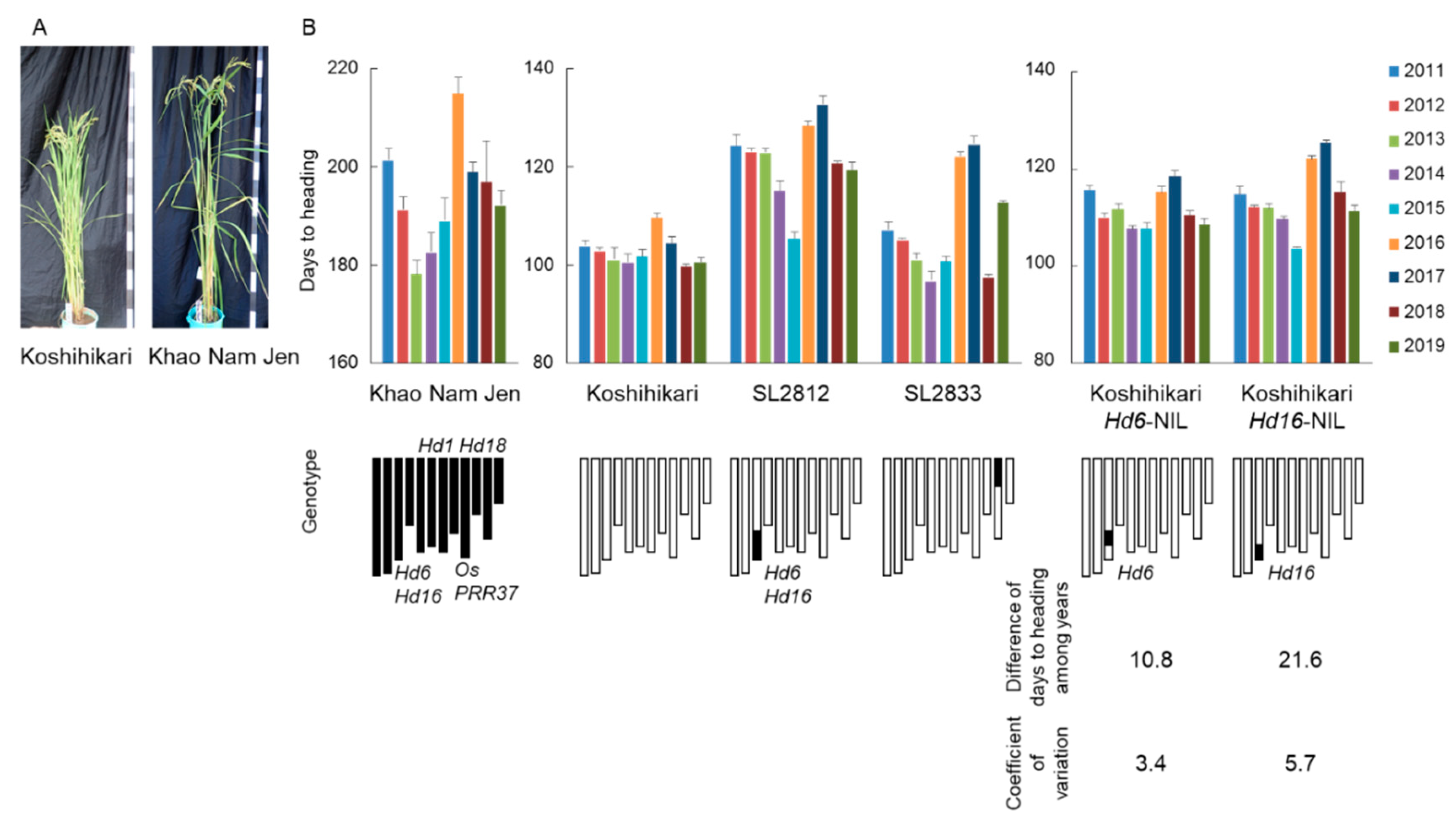 Ijms 22 01024 g003 Ijms 22 01024 g003