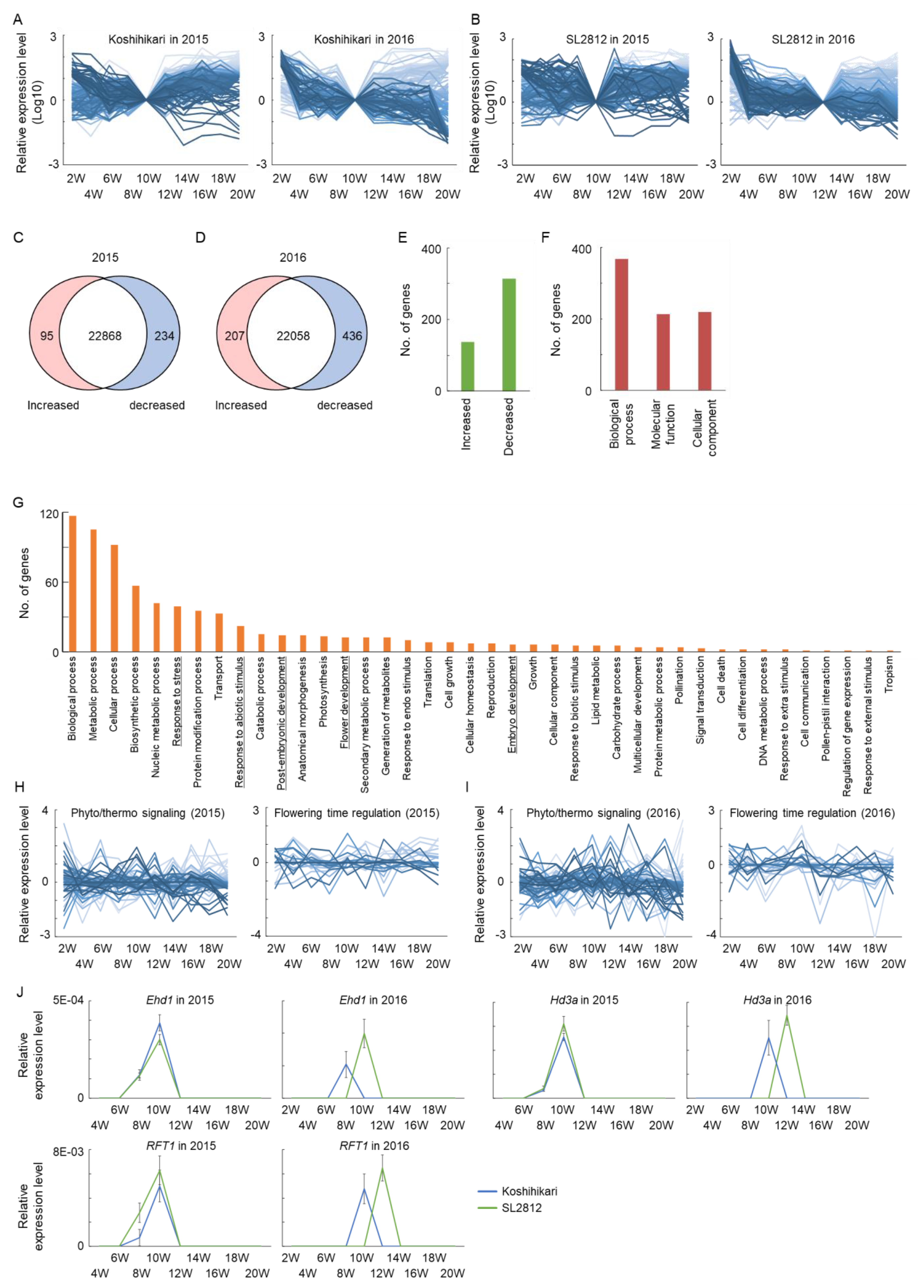 Ijms 22 01024 g004 Ijms 22 01024 g004