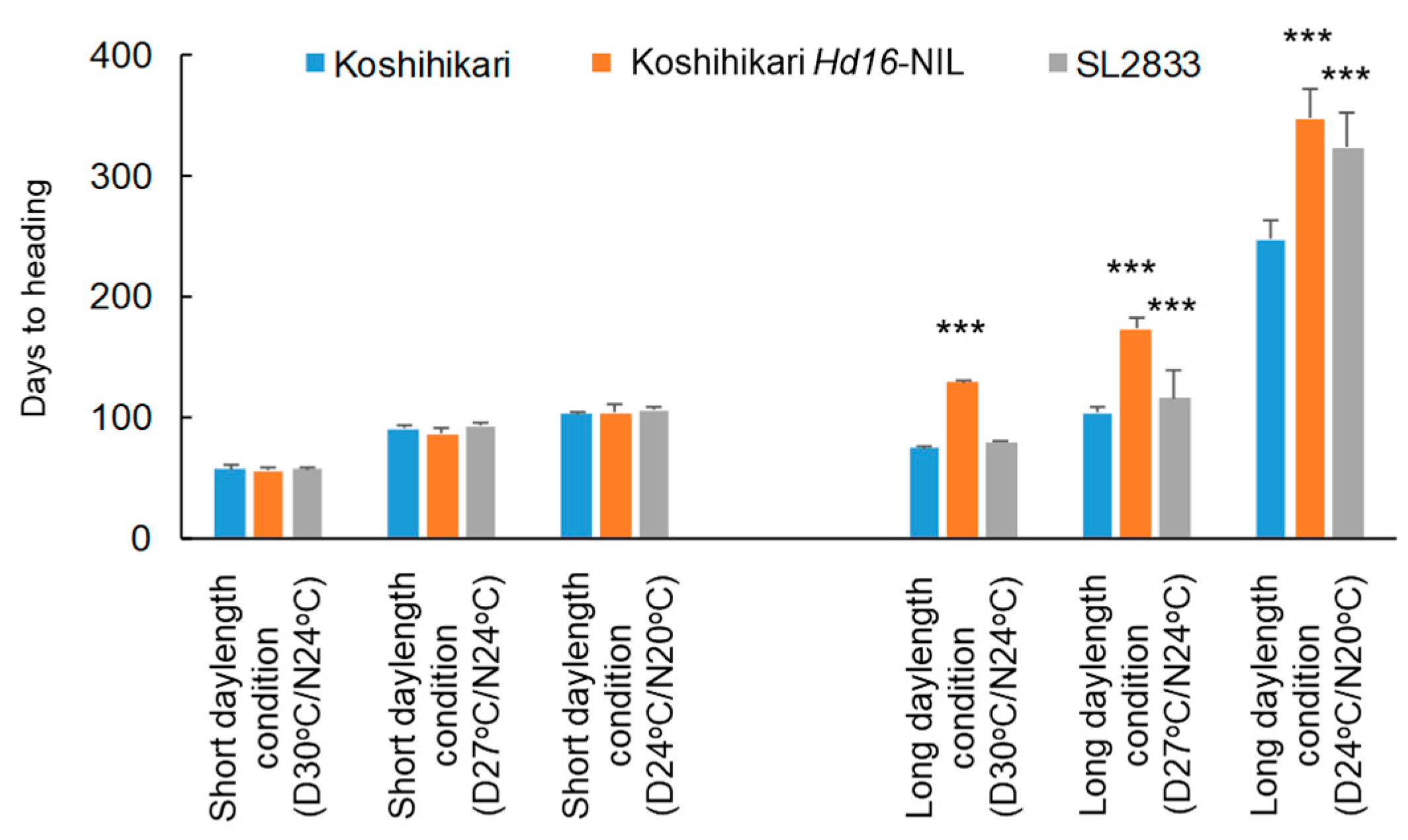 Ijms 22 01024 g005 Ijms 22 01024 g005