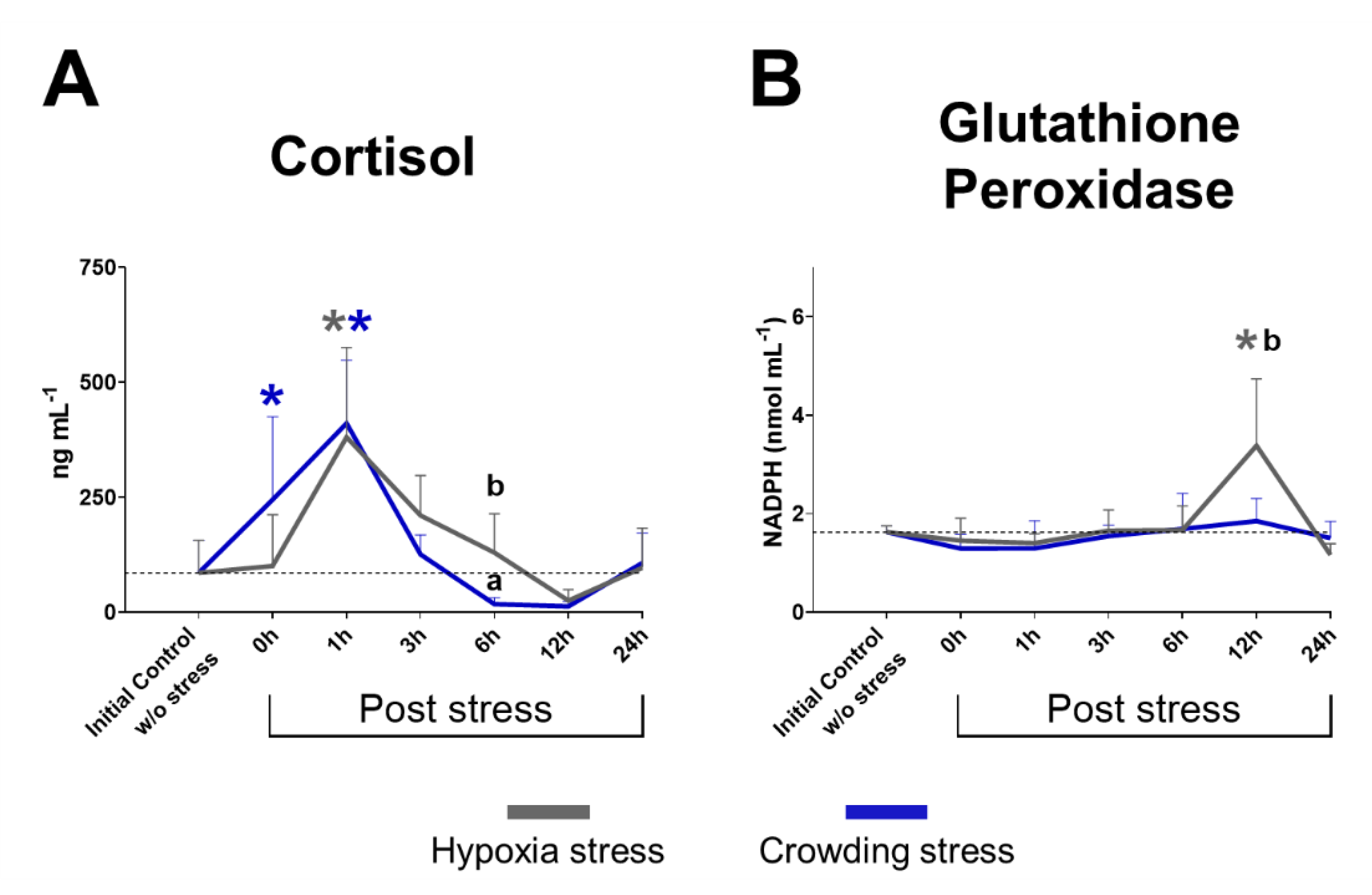 Ijms 22 01028 g001 Ijms 22 01028 g001