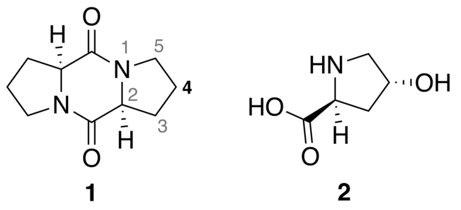 Ijms 22 01037 g002