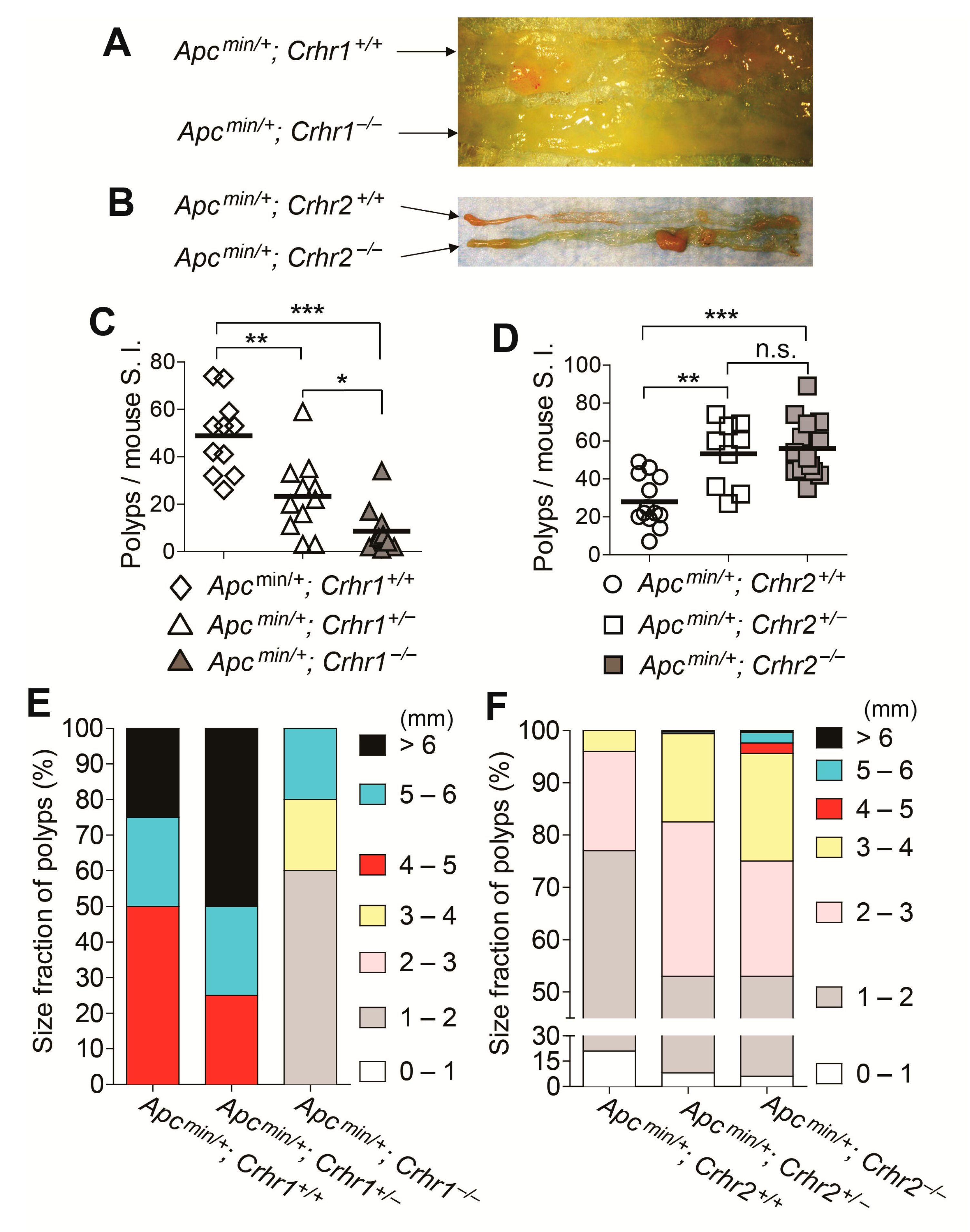 Ijms 22 01043 g002 Ijms 22 01043 g002