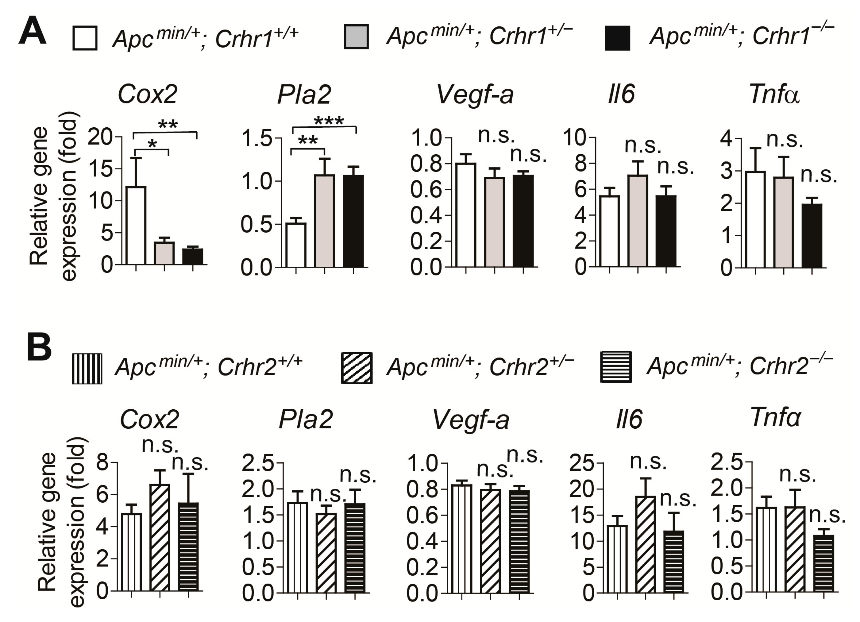 Ijms 22 01043 g004 Ijms 22 01043 g004