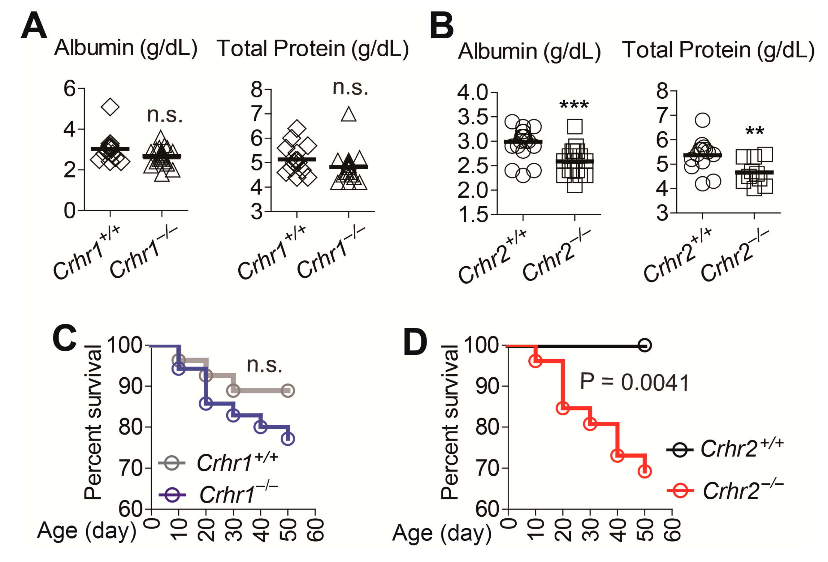 Ijms 22 01043 g006 Ijms 22 01043 g006