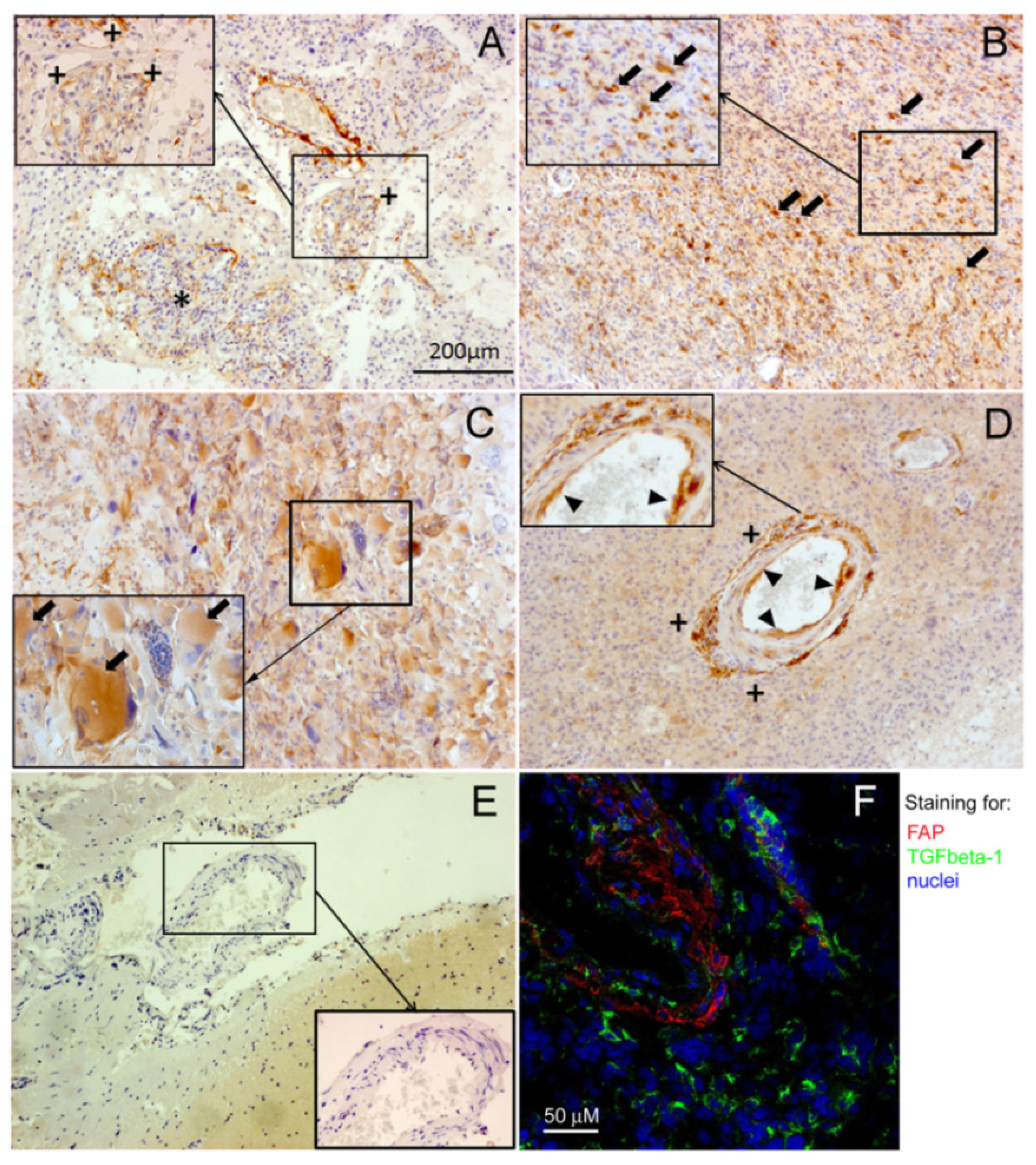 Ijms 22 01046 g003