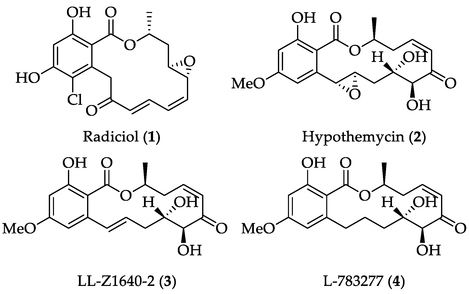 Ijms 22 01052 g001