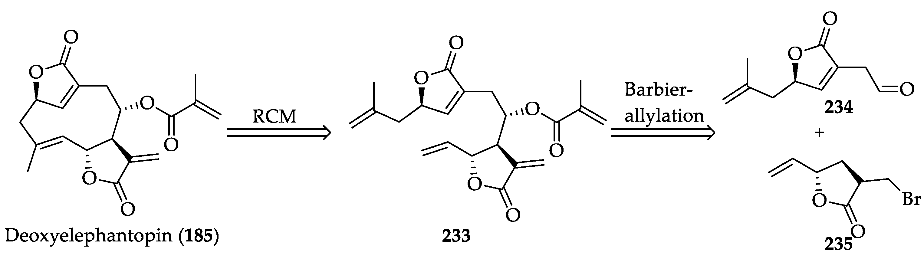 Ijms 22 01052 g012