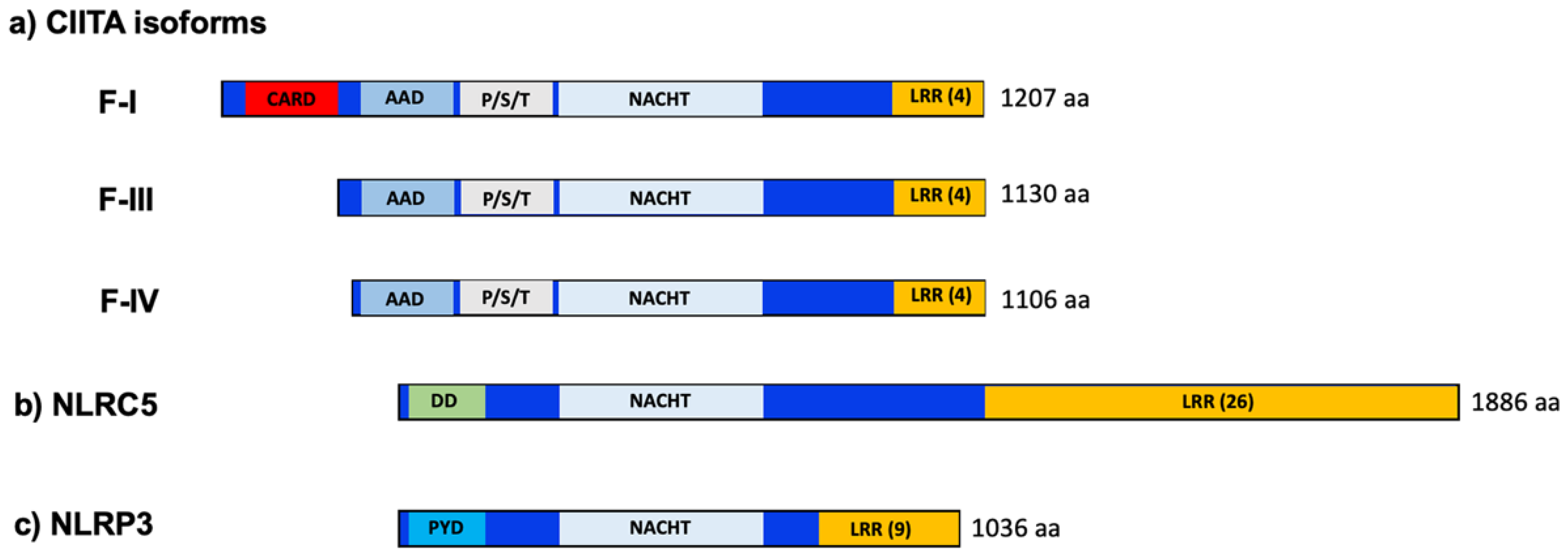 Ijms 22 01074 g001 Ijms 22 01074 g001