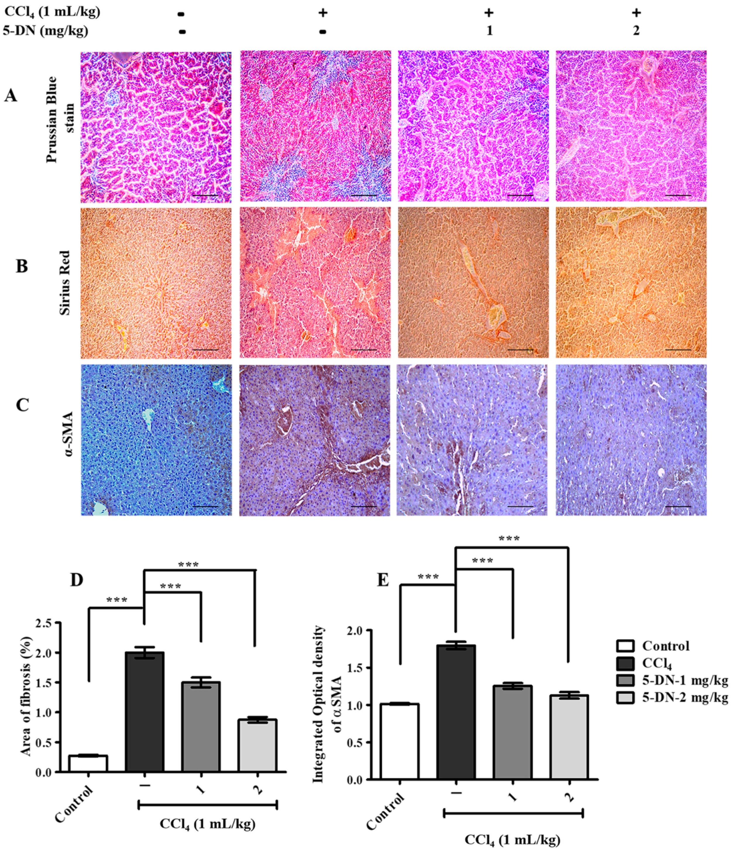 Ijms 22 01083 g003 Ijms 22 01083 g003