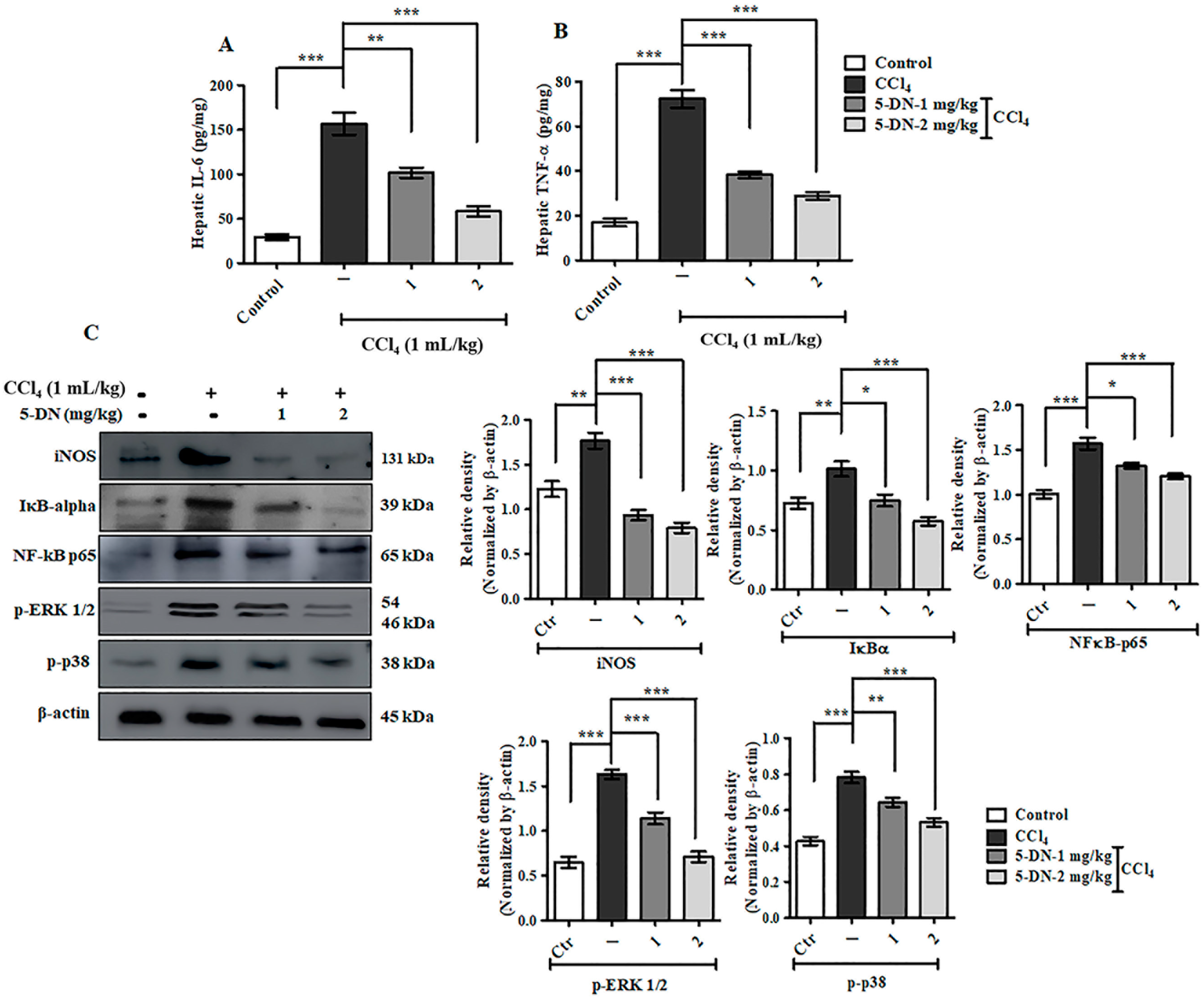 Ijms 22 01083 g004 Ijms 22 01083 g004