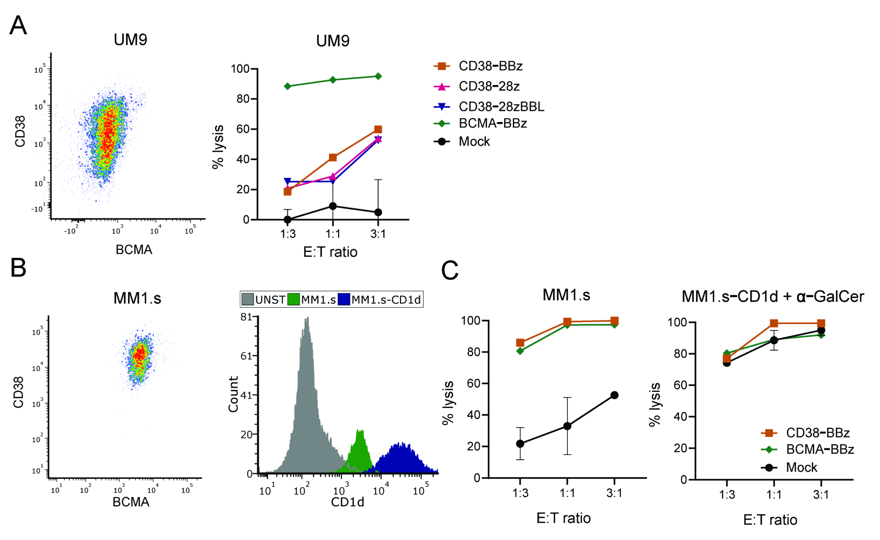 Ijms 22 01096 g002 Ijms 22 01096 g002