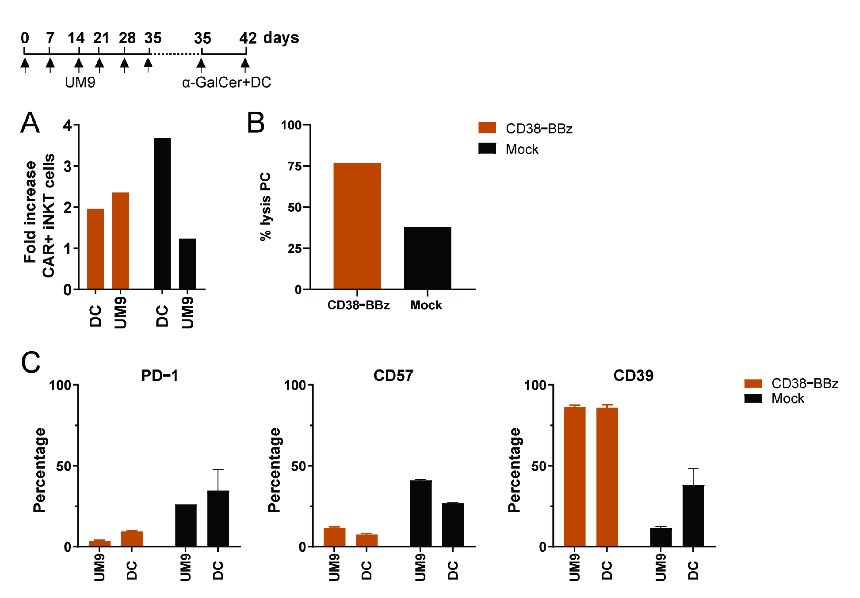 Ijms 22 01096 g007 Ijms 22 01096 g007