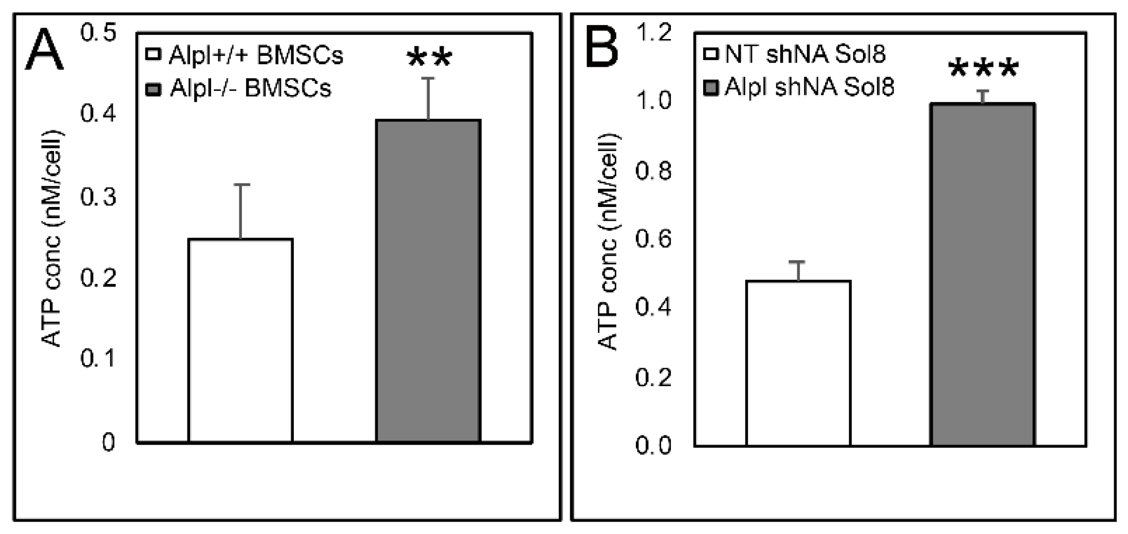 Ijms 22 01140 g008 Ijms 22 01140 g008