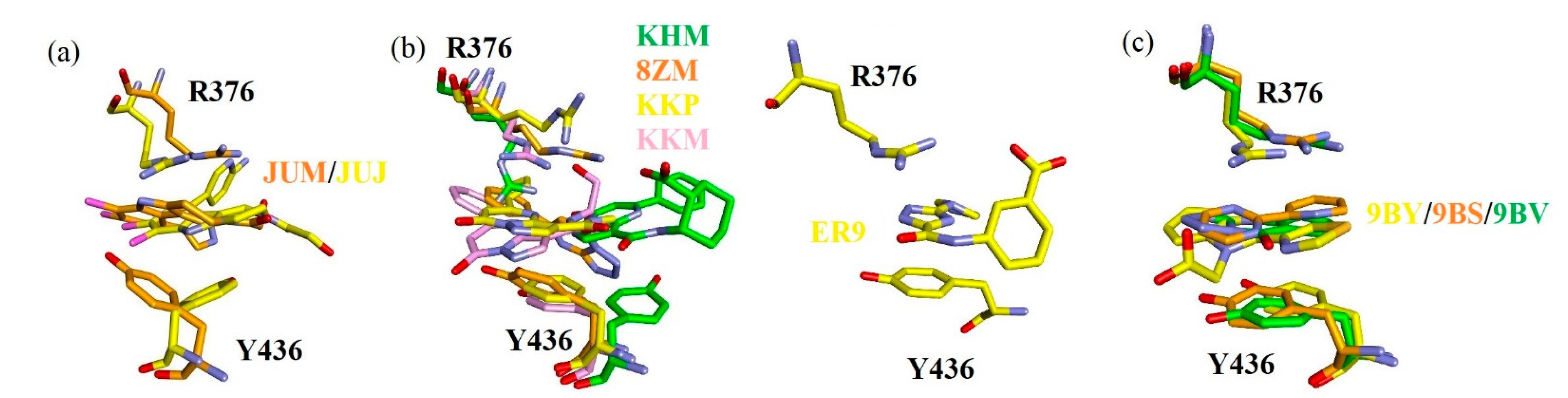 Ijms 22 01164 g008 Ijms 22 01164 g008