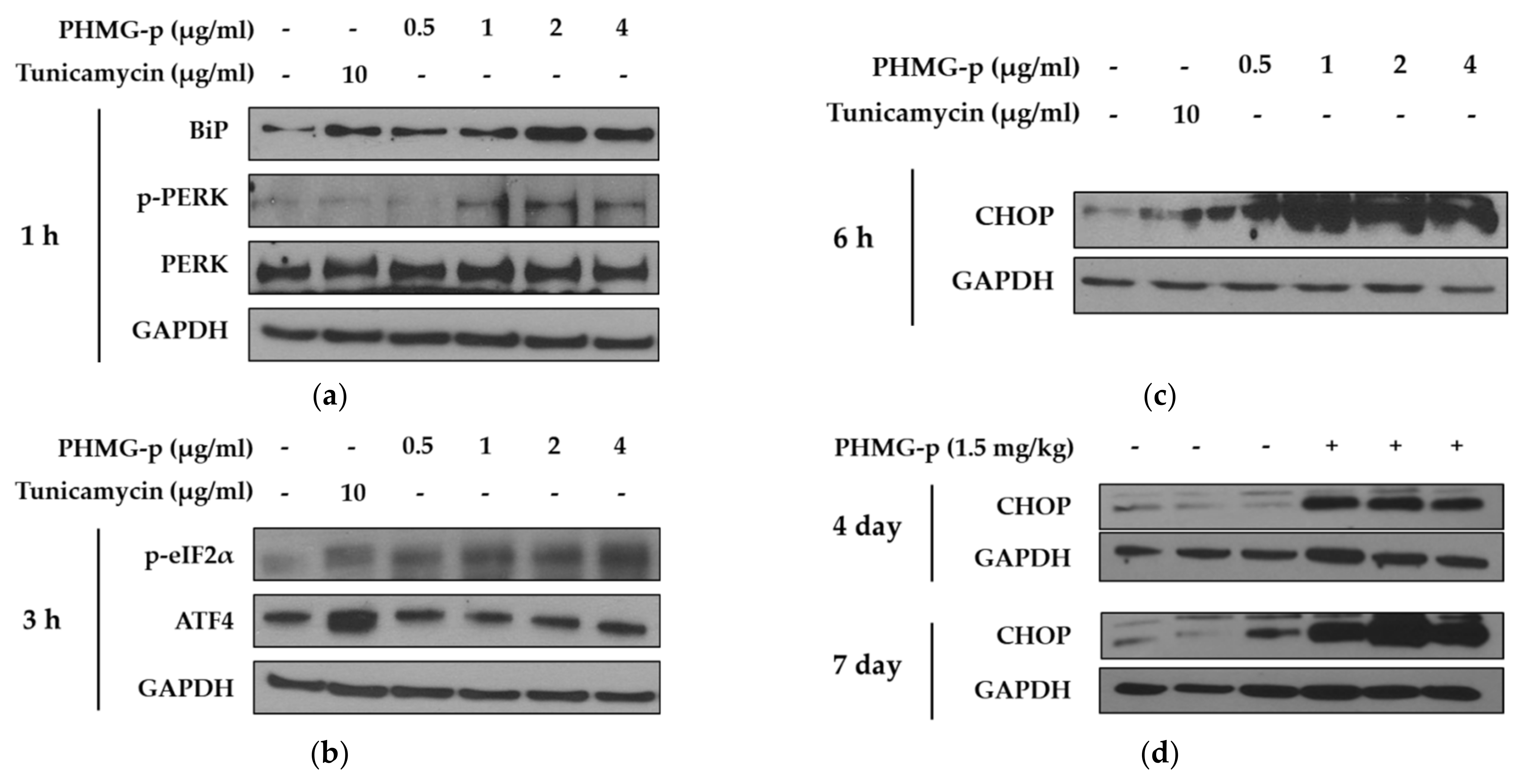 Ijms 22 01215 g002 Ijms 22 01215 g002