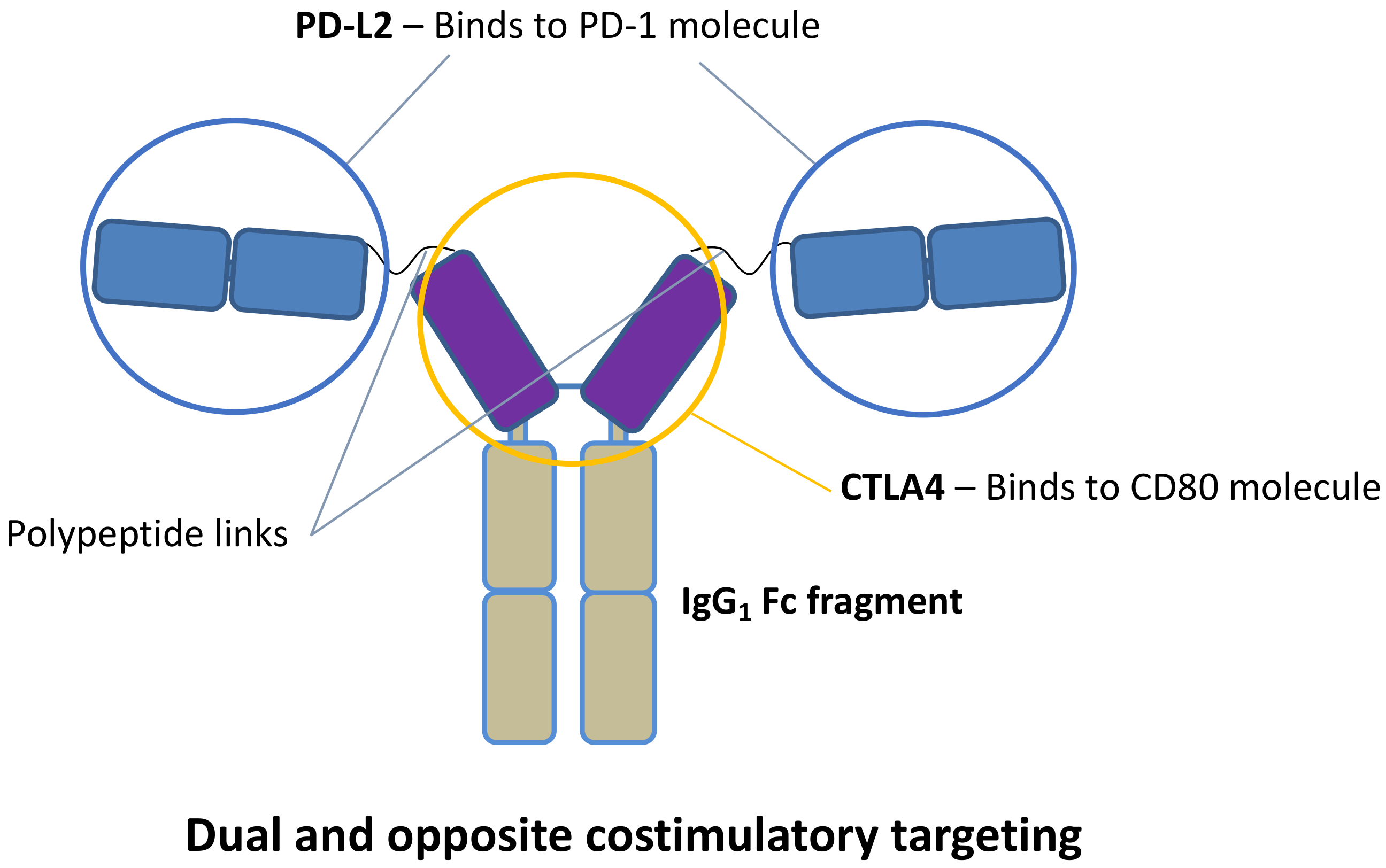 Ijms 22 01216 g001 Ijms 22 01216 g001