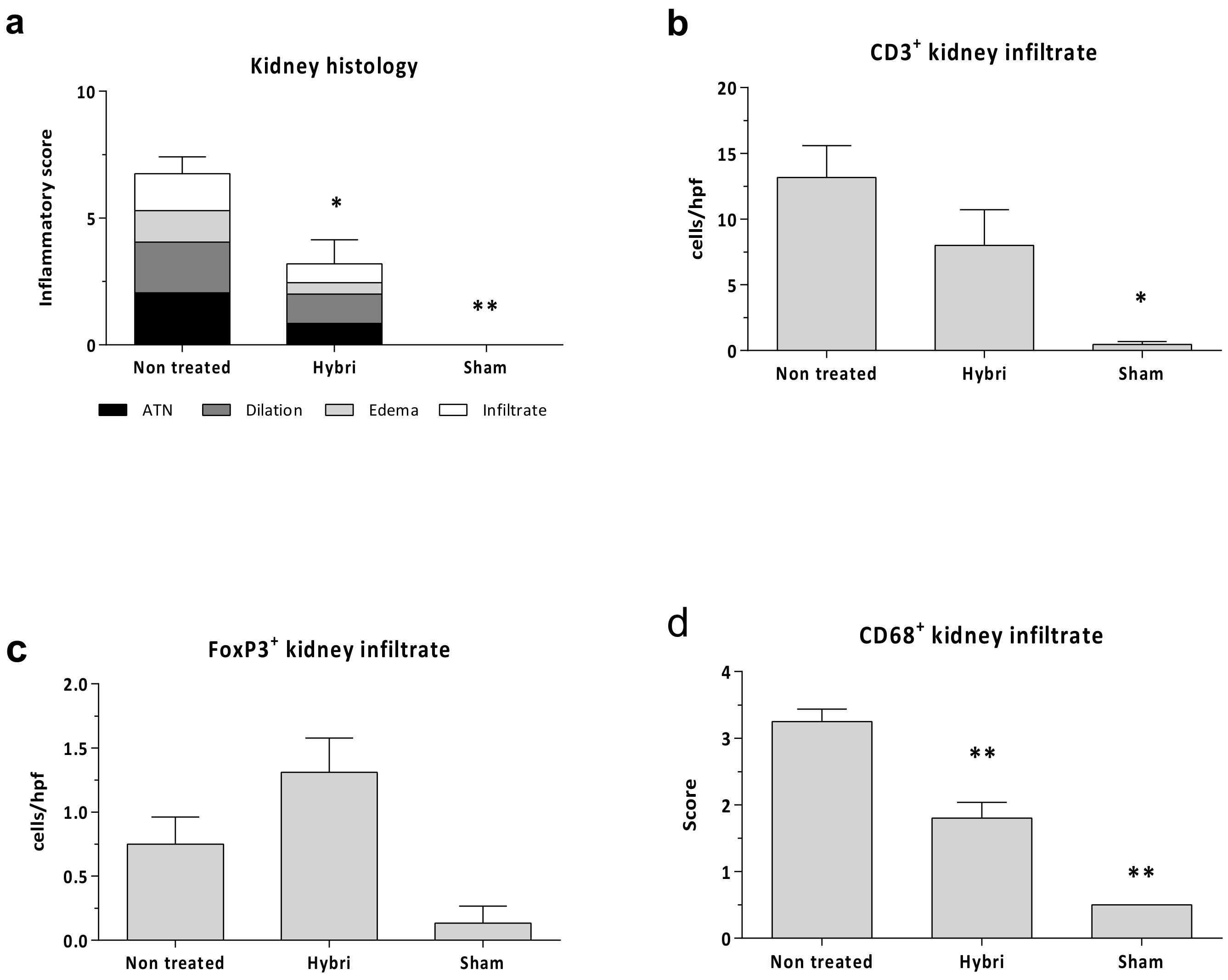 Ijms 22 01216 g004 Ijms 22 01216 g004
