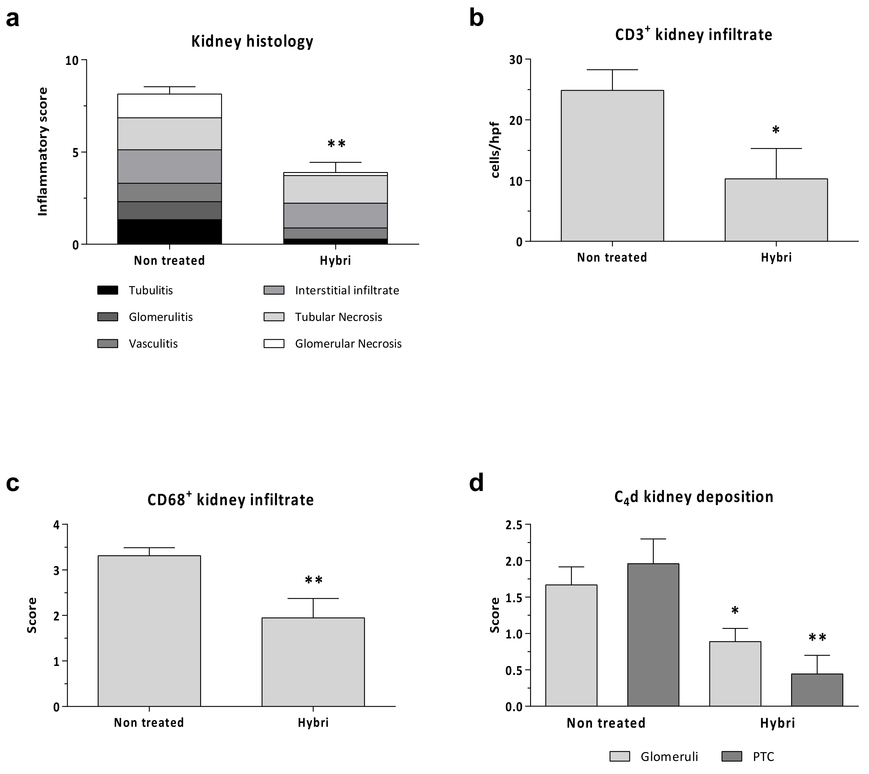 Ijms 22 01216 g008 Ijms 22 01216 g008