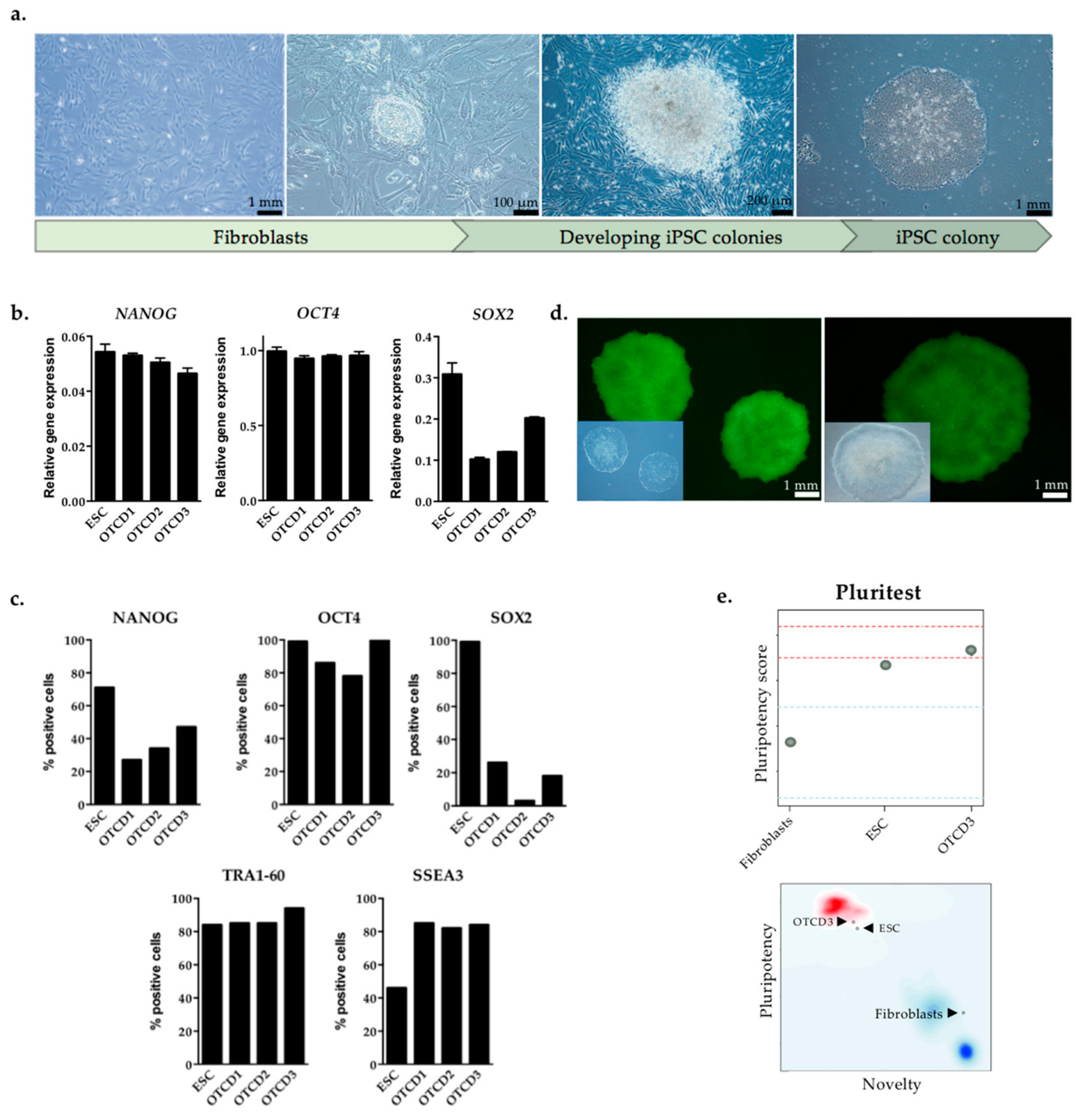 Ijms 22 01217 g002 Ijms 22 01217 g002
