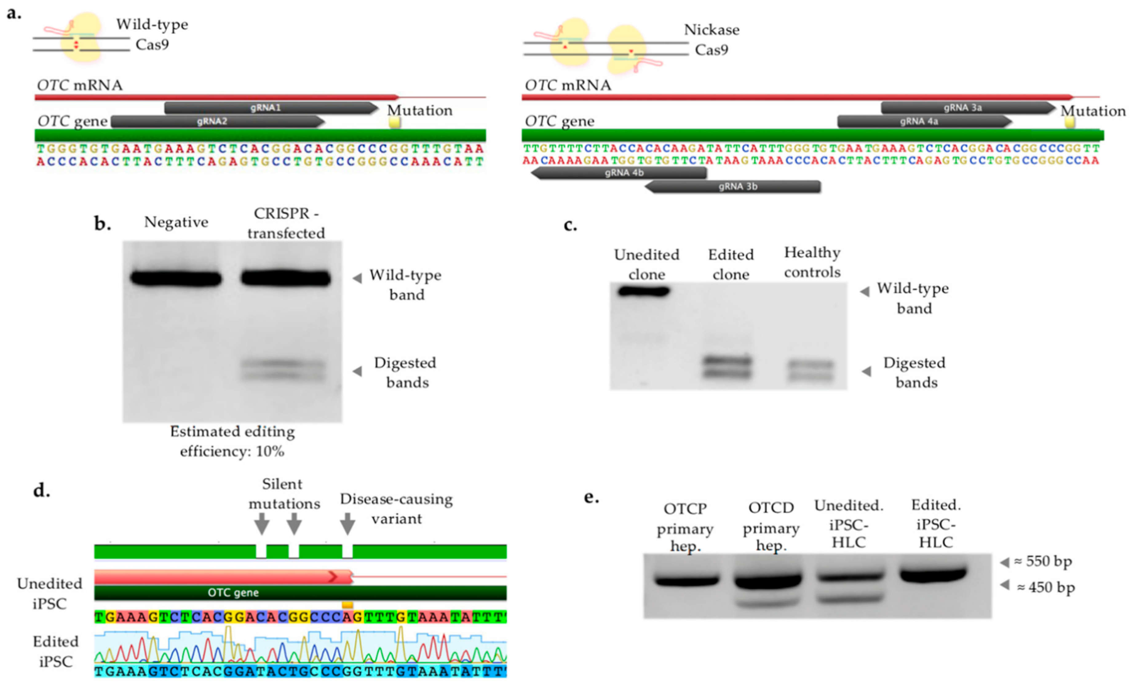 Ijms 22 01217 g003 Ijms 22 01217 g003