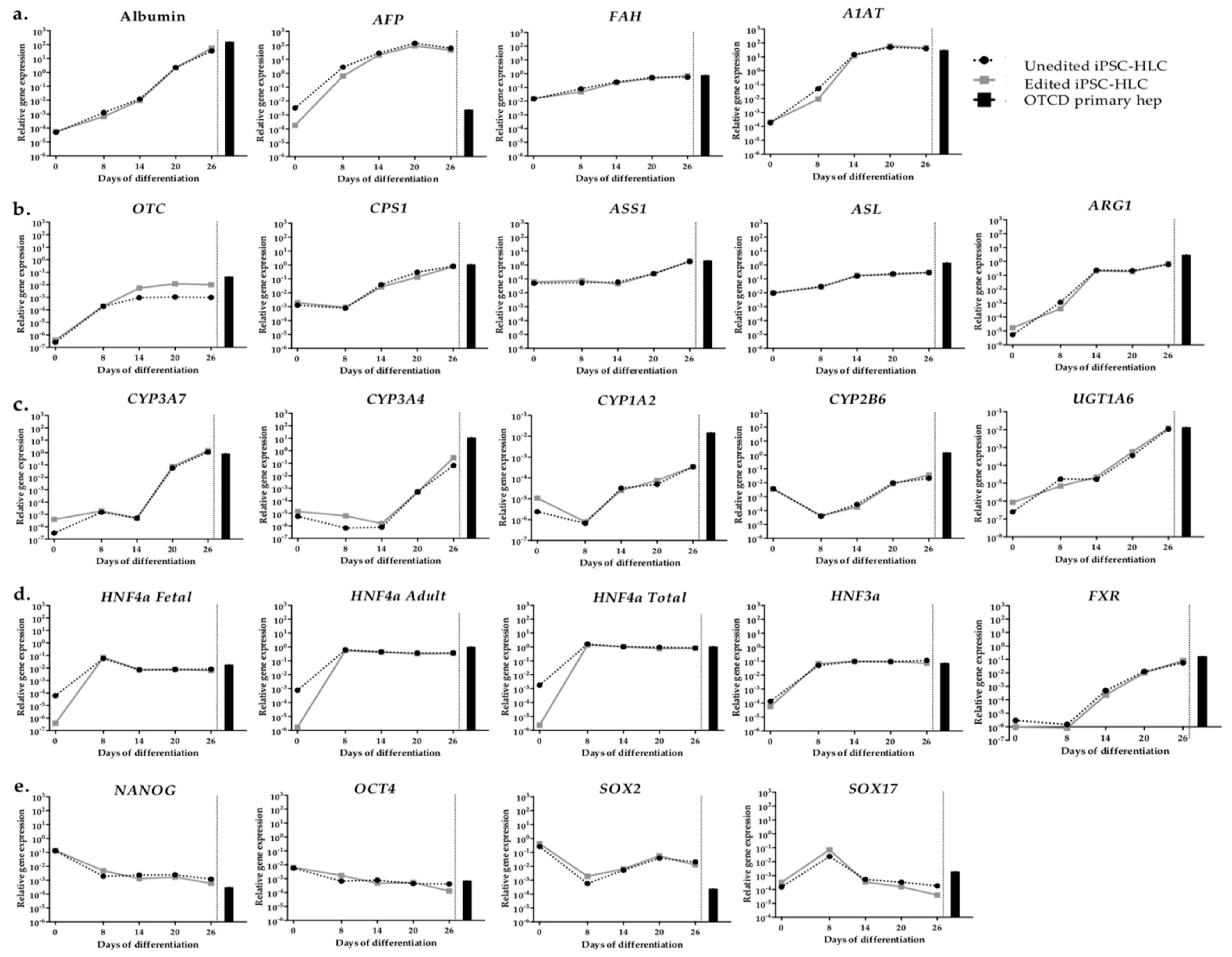 Ijms 22 01217 g005 Ijms 22 01217 g005