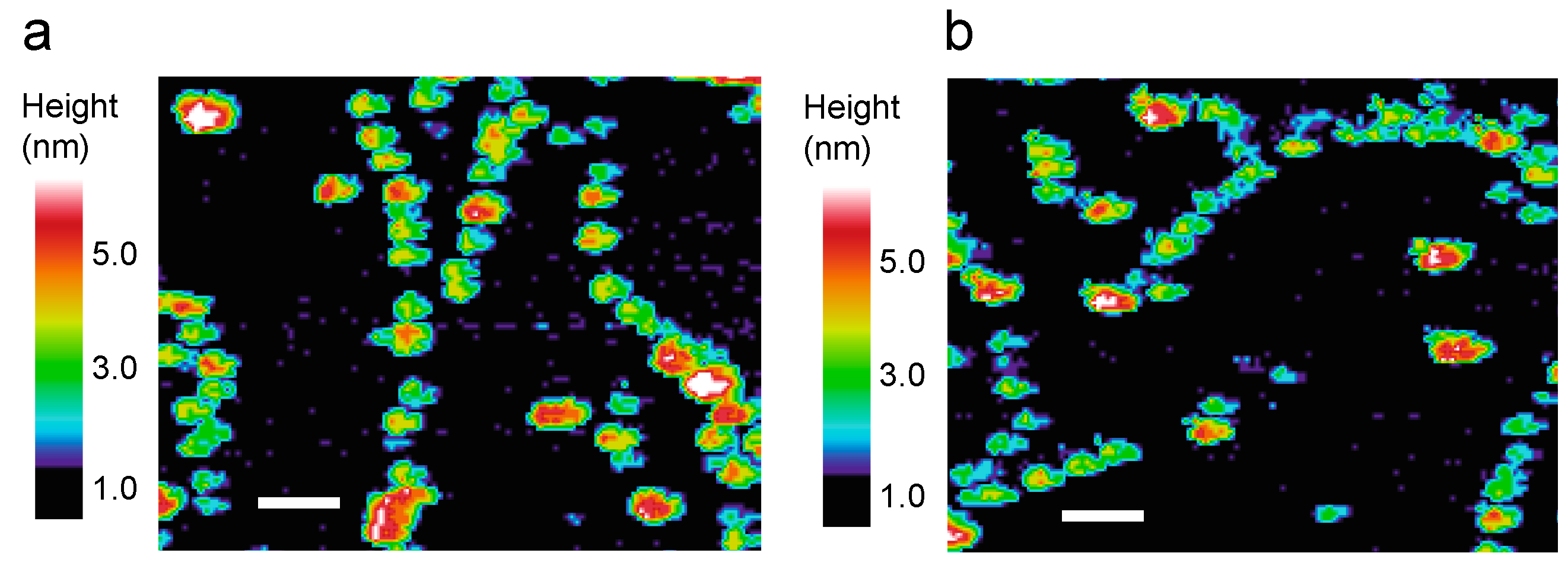 Ijms 22 01225 g003 Ijms 22 01225 g003