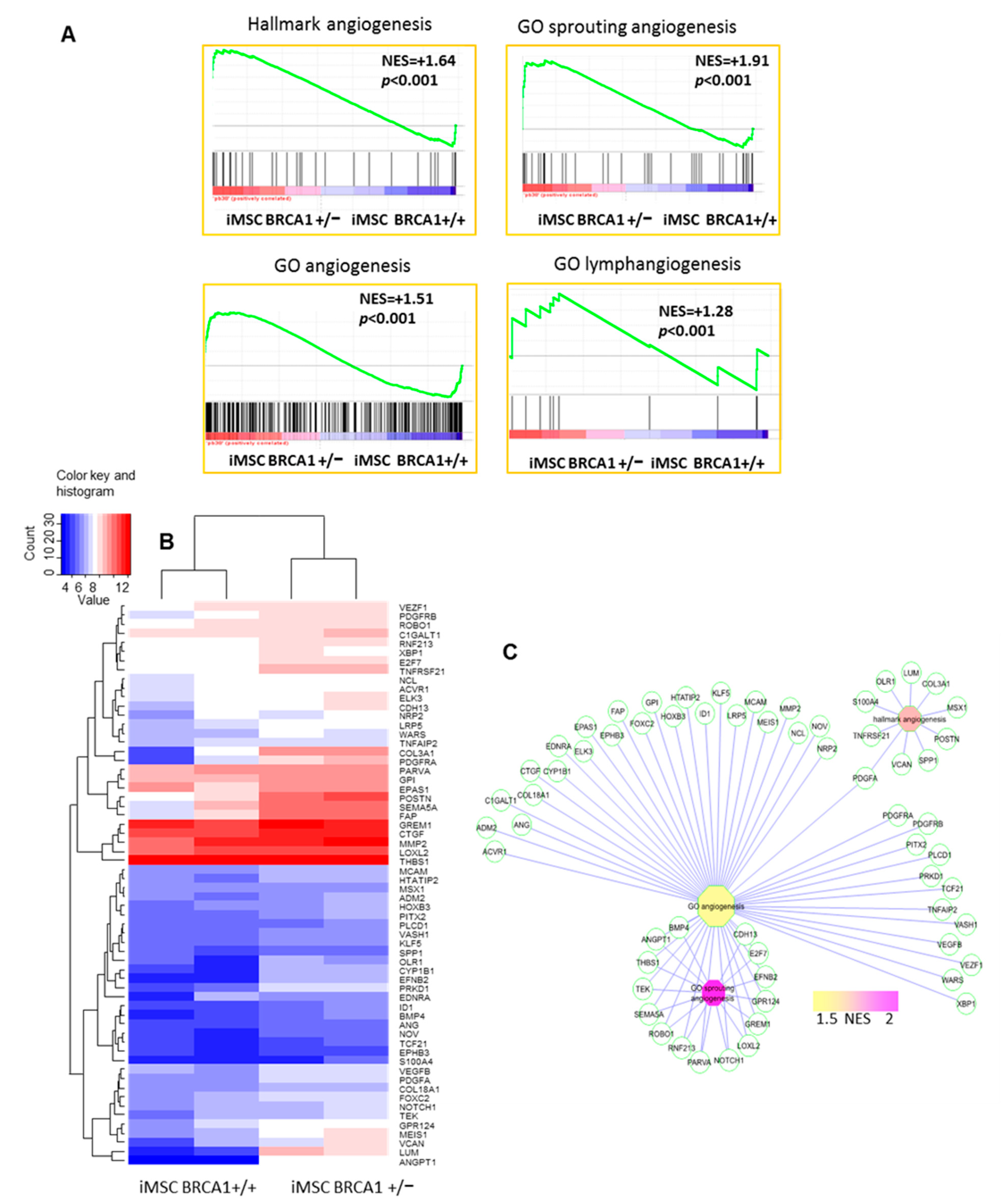 Ijms 22 01227 g003 Ijms 22 01227 g003
