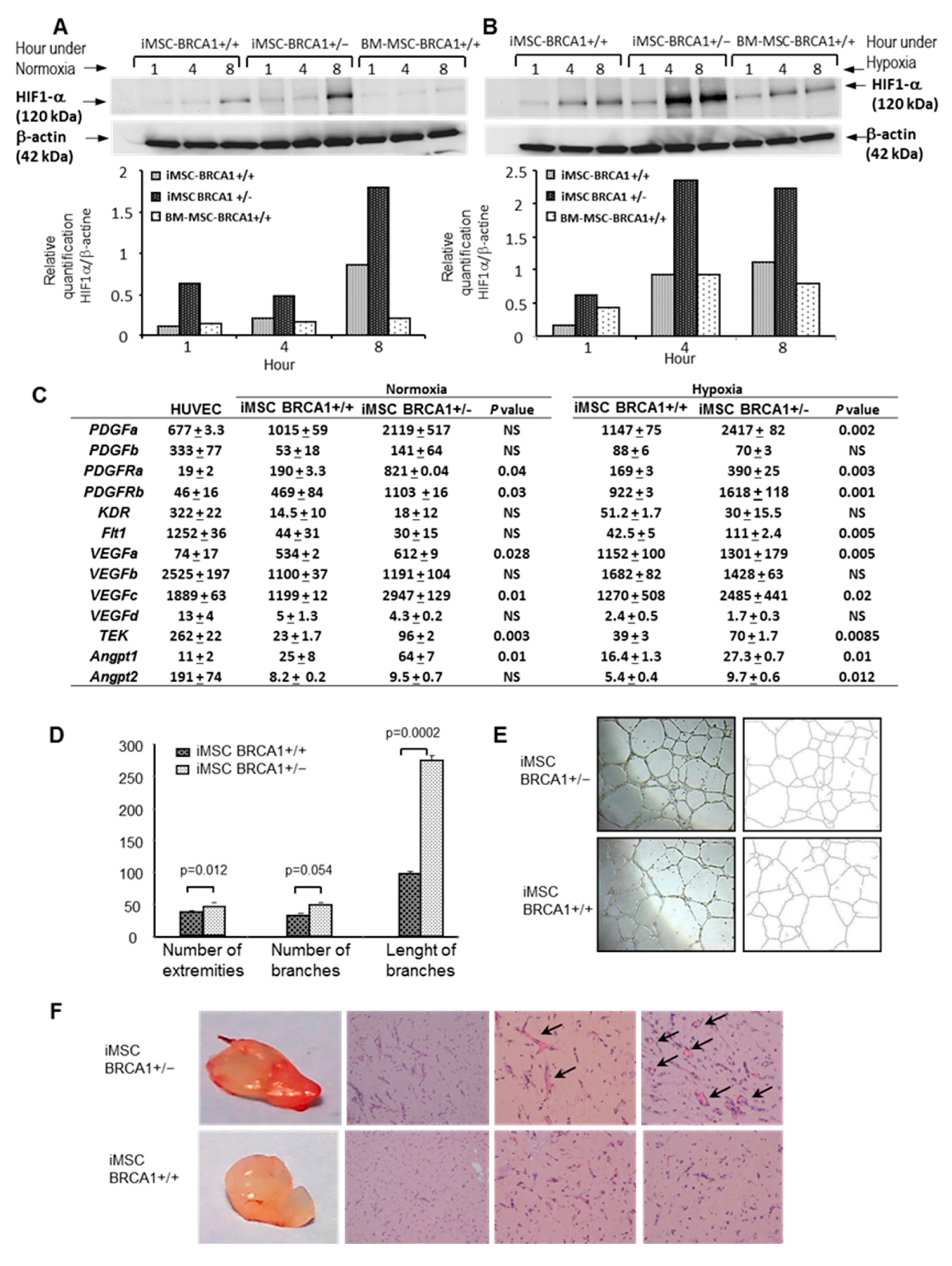 Ijms 22 01227 g004 Ijms 22 01227 g004
