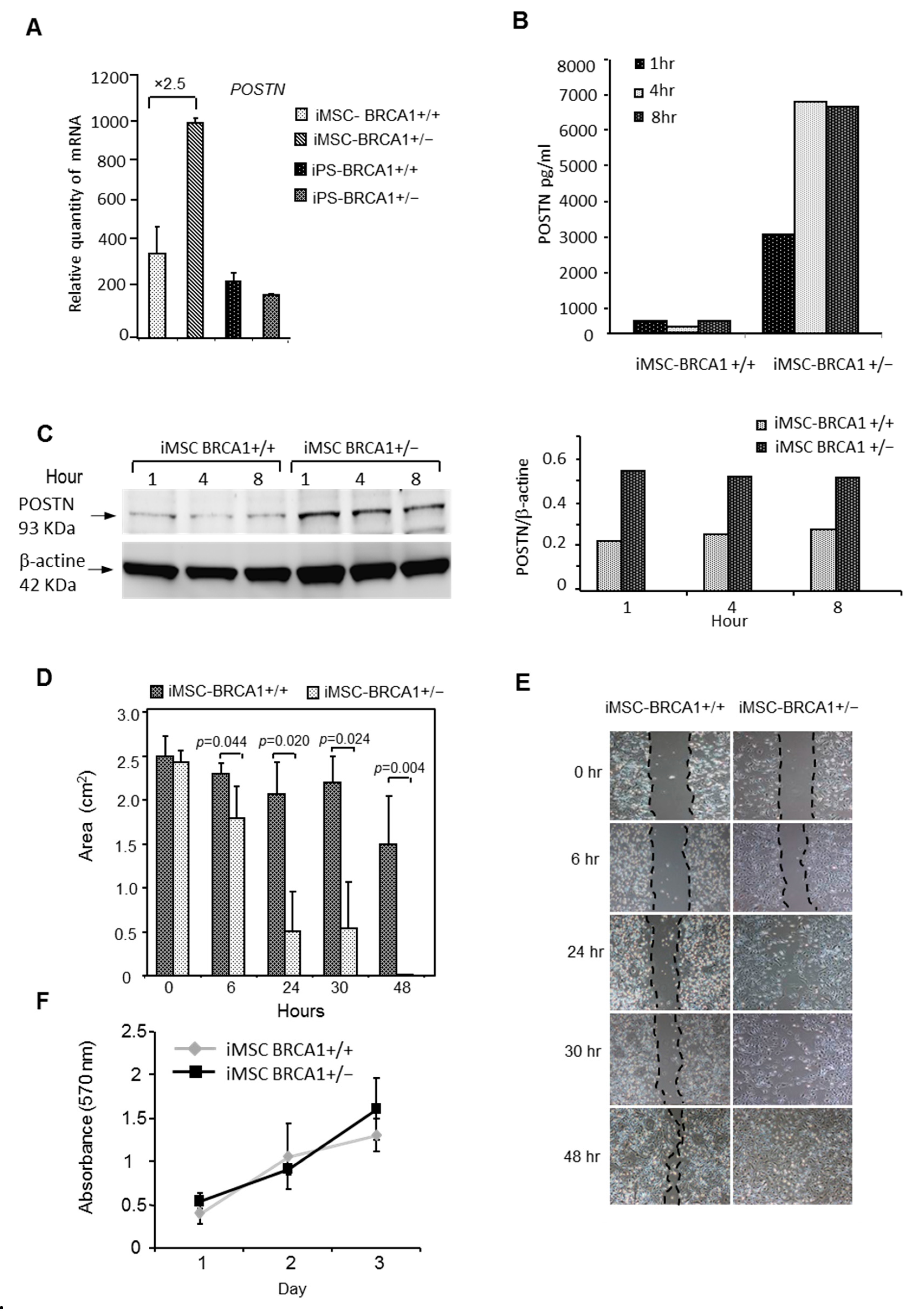 Ijms 22 01227 g005 Ijms 22 01227 g005